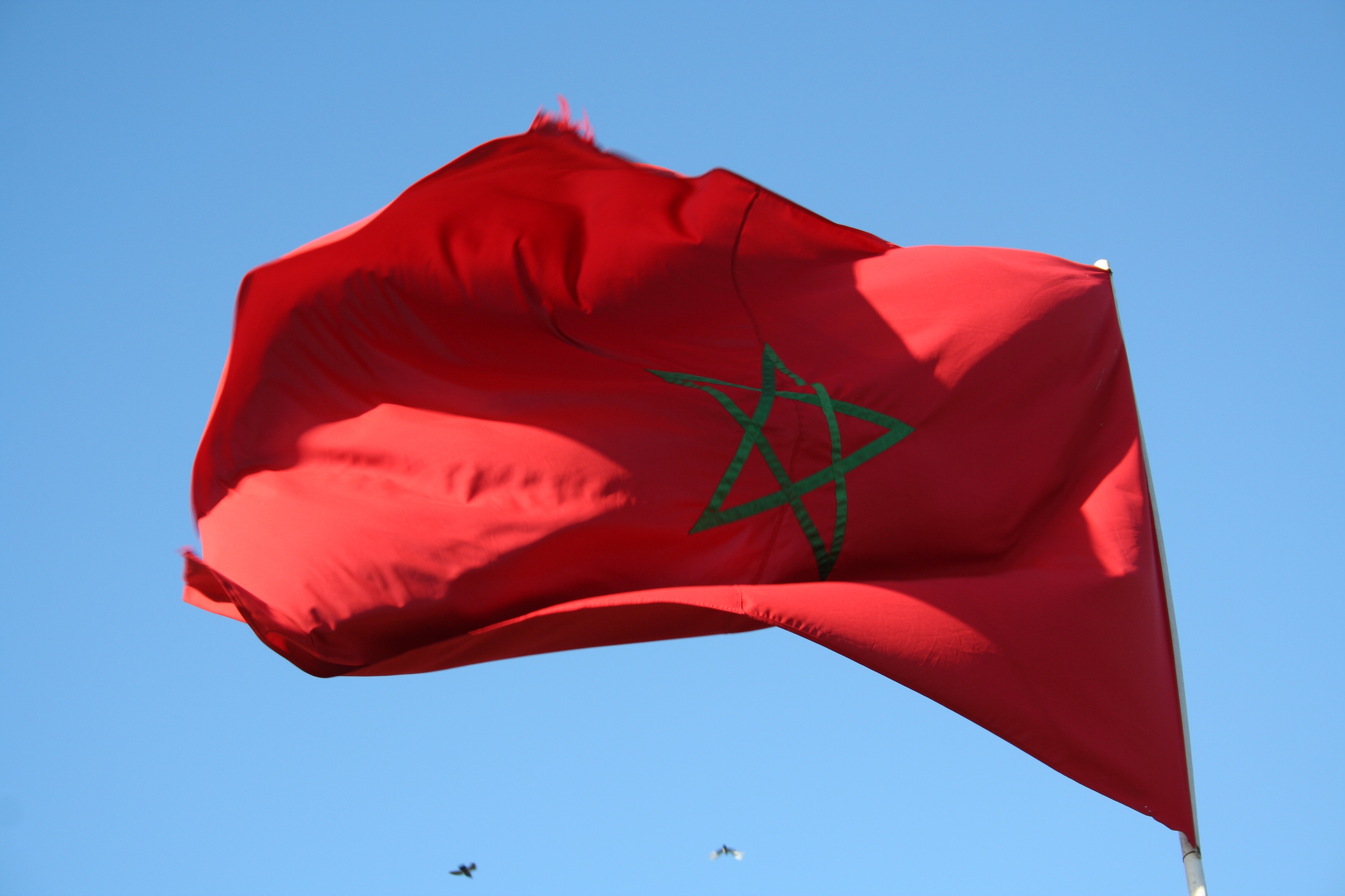 waving, star, flag, blue, wind, national icon, green, nature, low angle view, 2K, red, day, clear sky, pride, shape, blow, environment, flying, flutter, HD Wallpaper