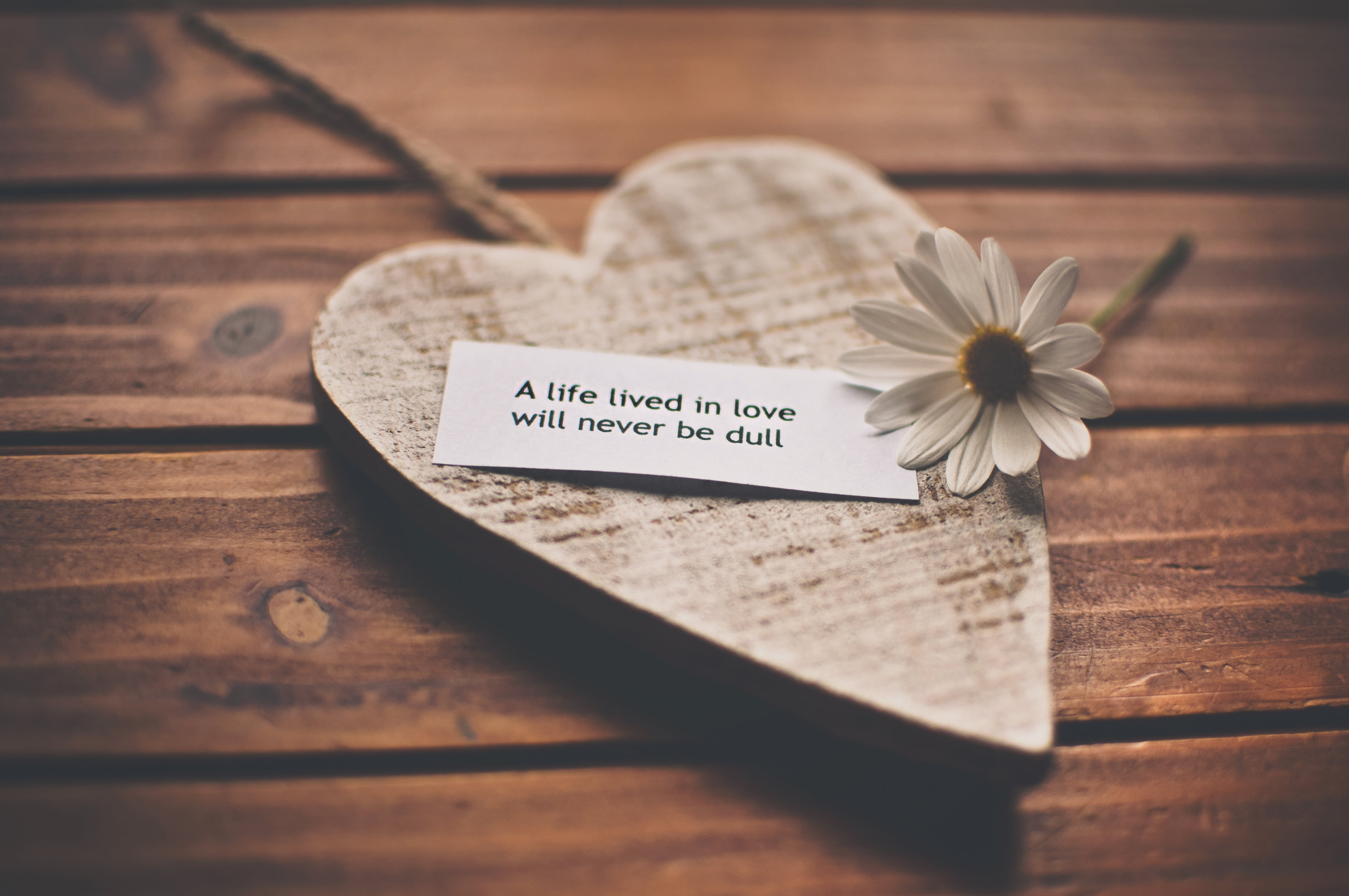 mothers Day, plank, board, wooden, table, message, nature, greeting Card, western script, plant, recognition, day, white, feelings, celebration, emotion, HD Wallpaper