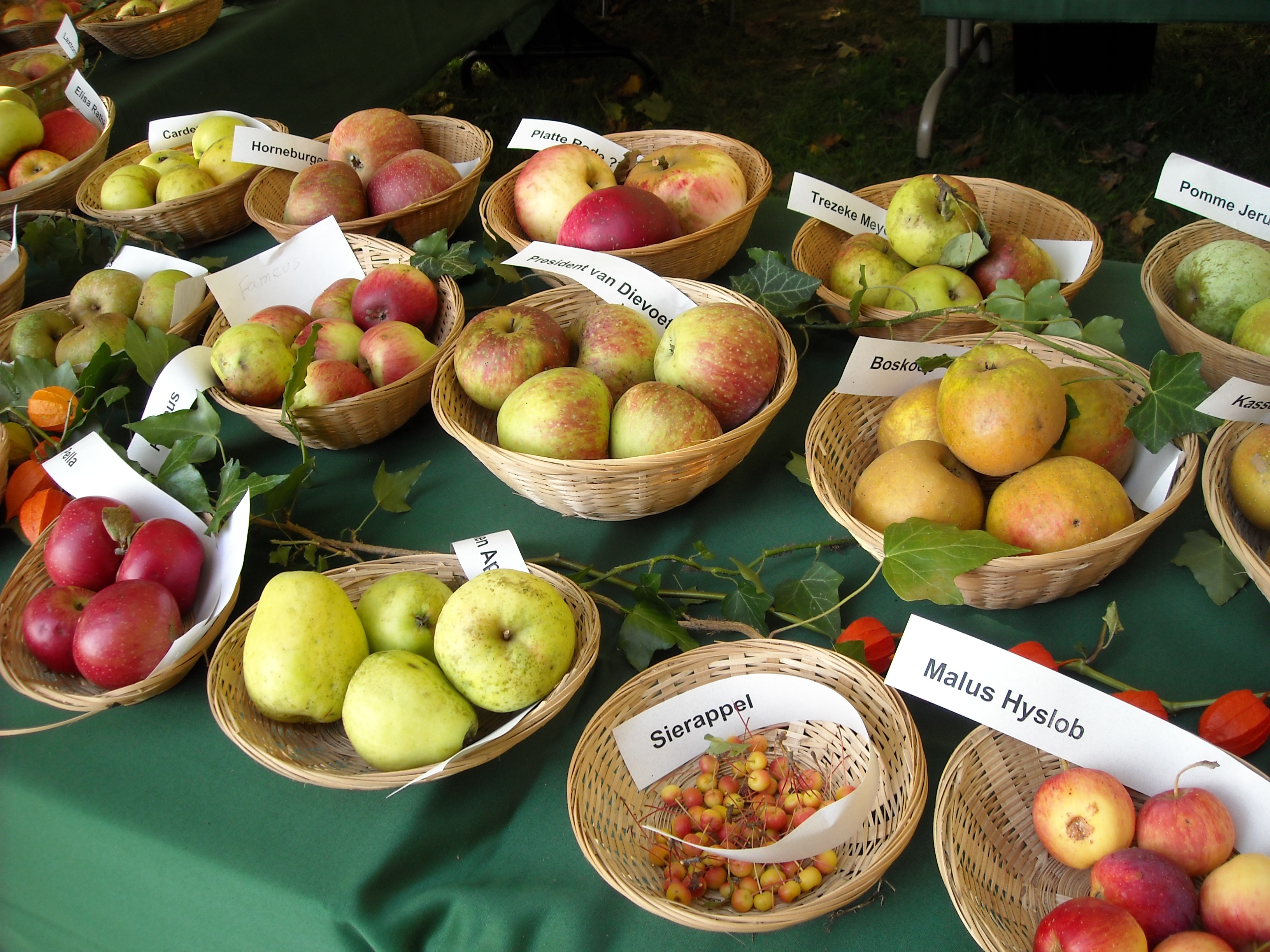 variation, large group of objects, pomology, food and drink, no people, retail, price tag, food, text, market, retail display, apples, freshness, choice, HD Wallpaper