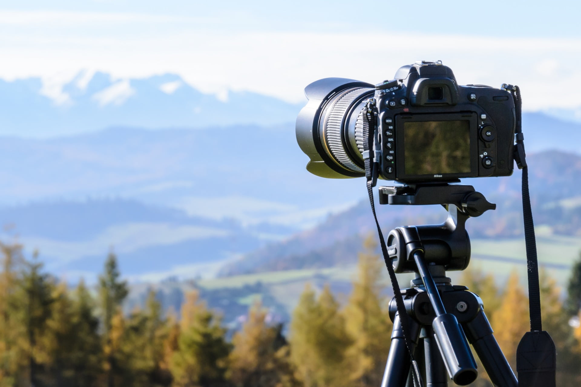 scenics - nature, tree, photographic equipment, day, photography themes, taking, 1080P, camera - photographic equipment, camera, view, beauty in nature, HD Wallpaper