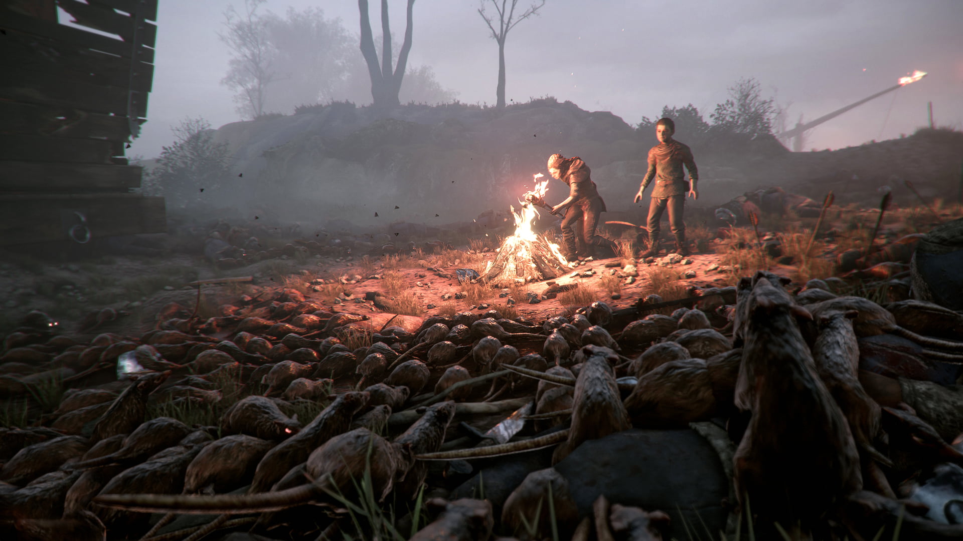 Video Game, A Plague Tale: Innocence, 1080P, HD Wallpaper