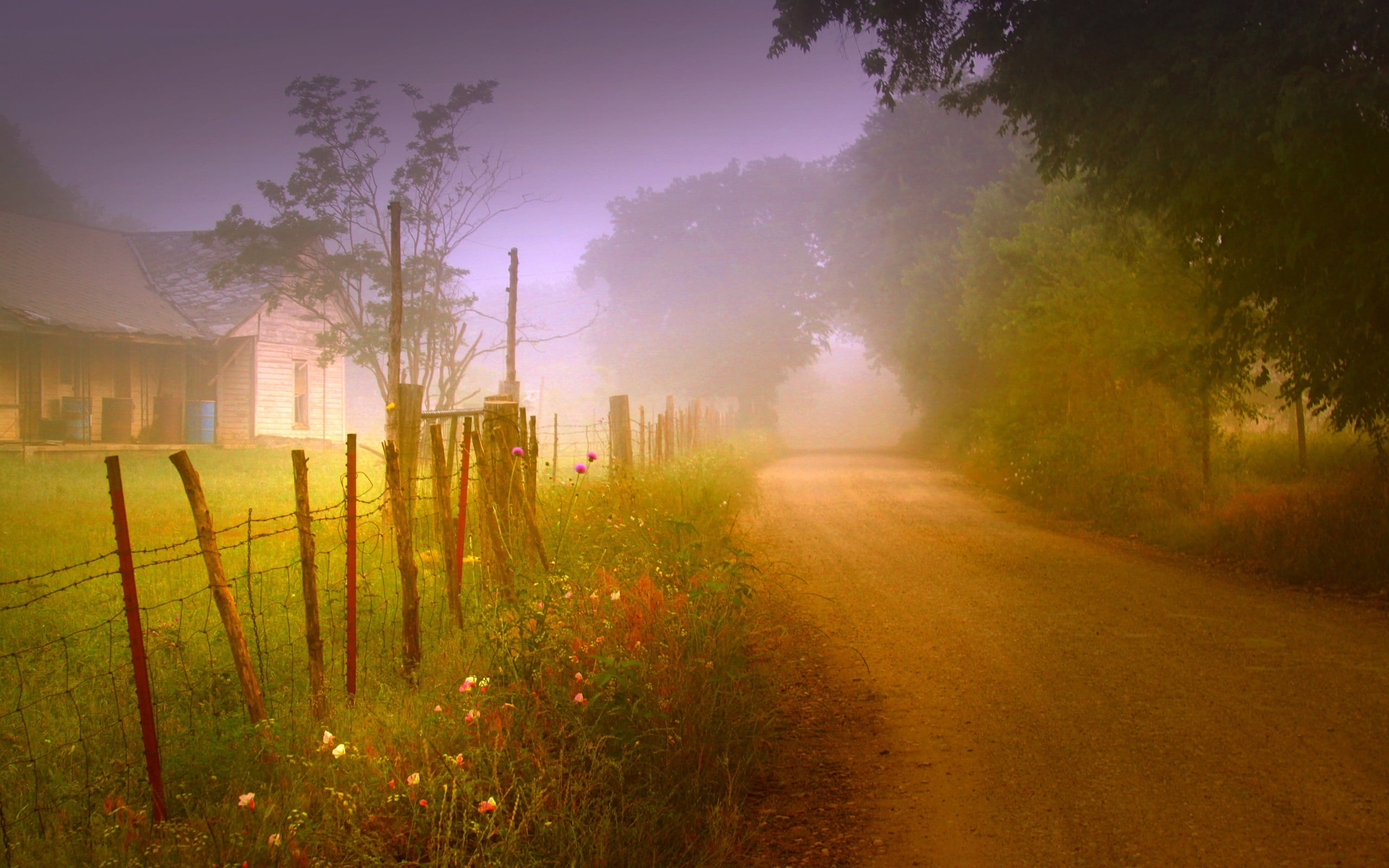 no People, meadow, spooky, nature, lens flare, light - Natural Phenomenon, blue, mist, fog, garden, mystery, agriculture, dawn, sunset, outdoors, night, HD Wallpaper