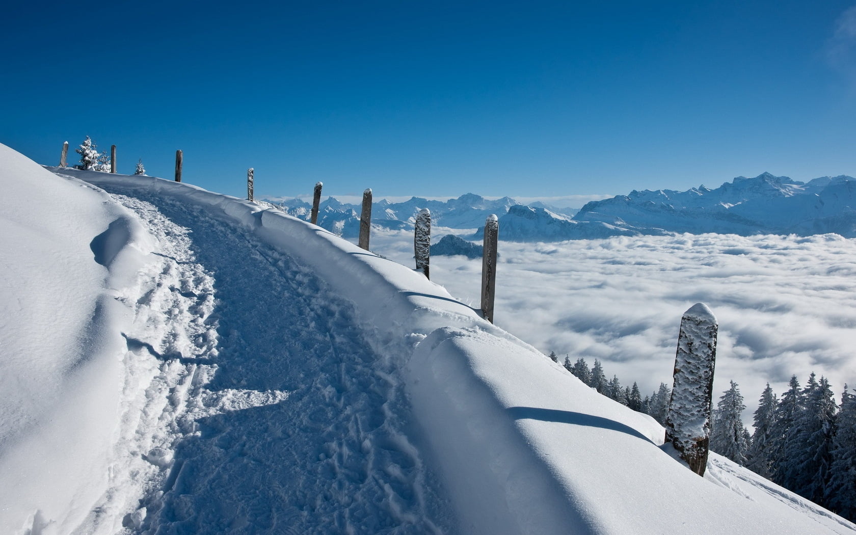 road, ski Slope, mountain Peak, tree, day, lifting, cold - Temperature, sunlight, no People, mountain, cold temperature, landscape, pine, sport, snow, skiing, HD Wallpaper