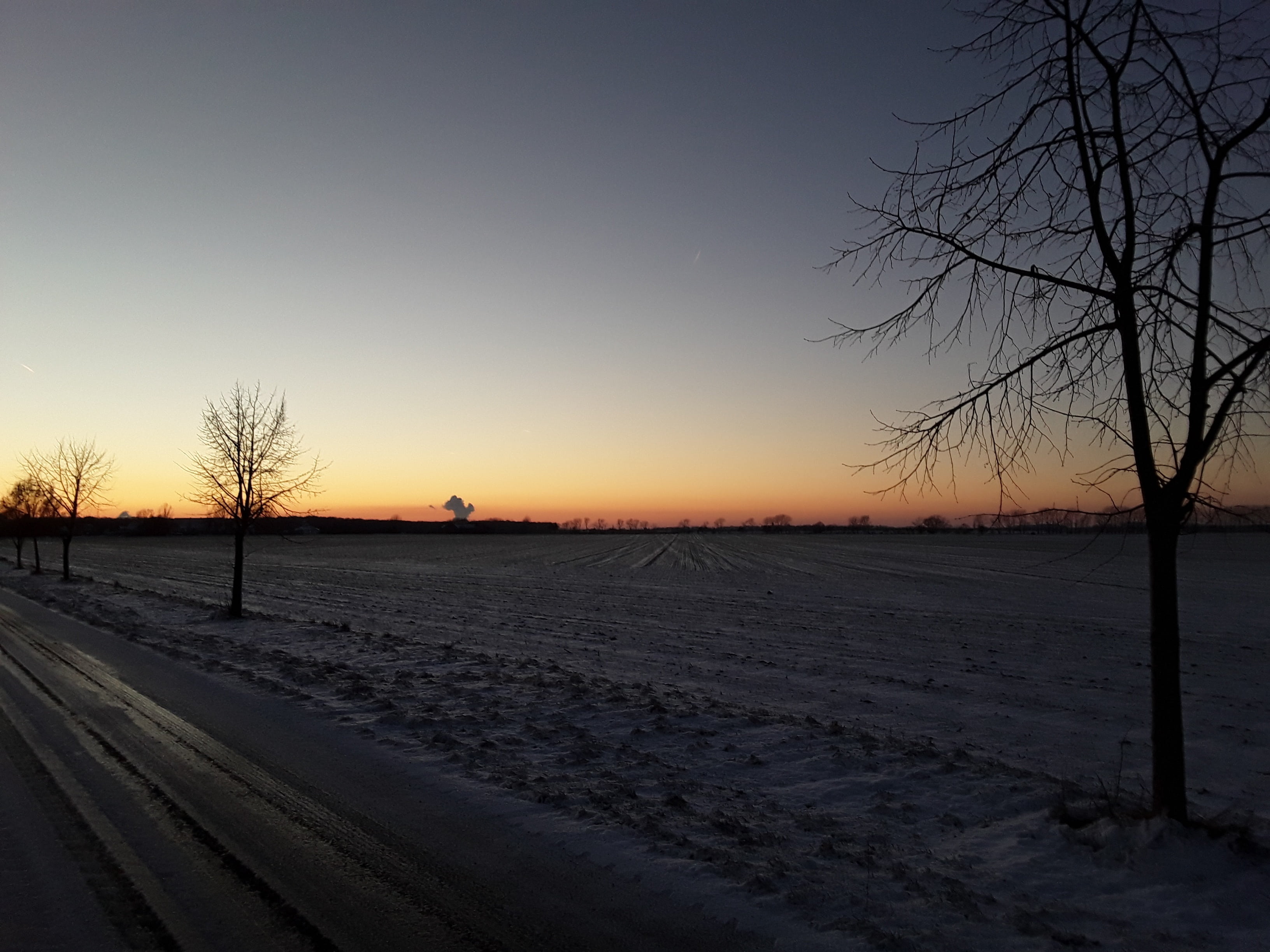 plant, 2K, sky, setting sun, snow, landscape, beauty in nature, winter, no people, bare tree, abendstimmung, tranquil scene, tranquility, field, evening sky, HD Wallpaper