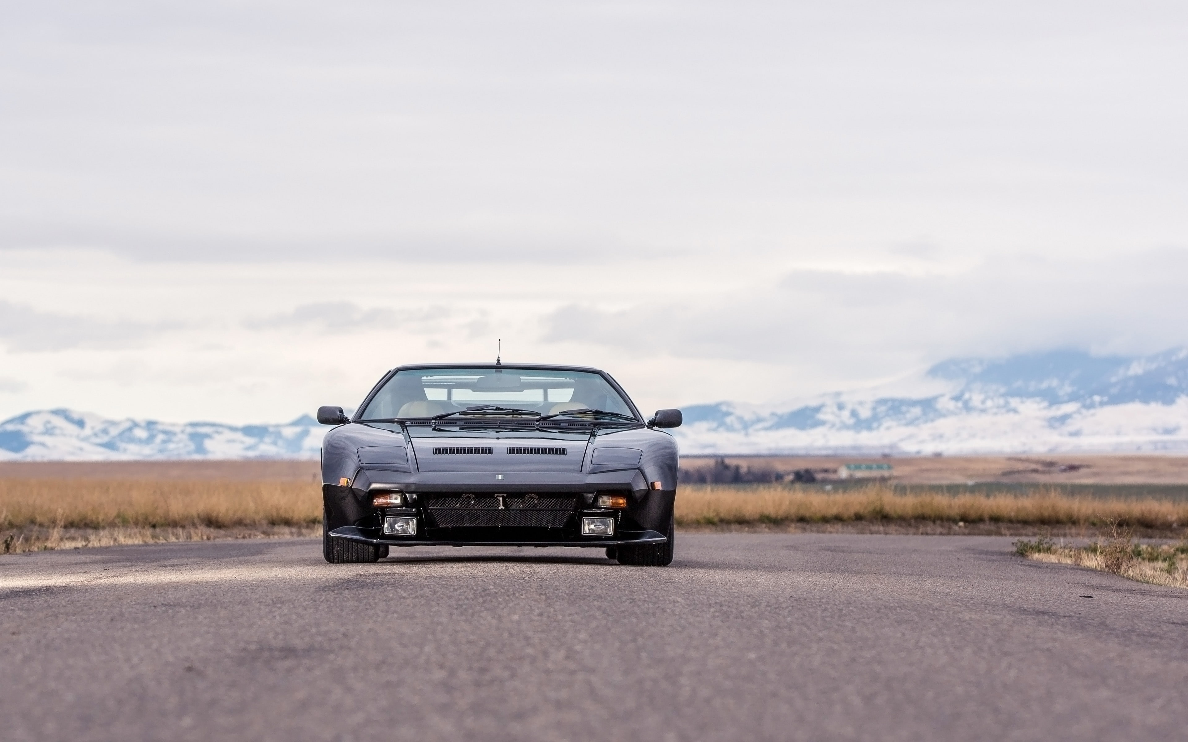 pantera, tomaso, gt5, 4K, de-tomaso, car, gt5-s, auto, vehicle, gt5s, supercar, automobile, 1987, detomaso, HD Wallpaper