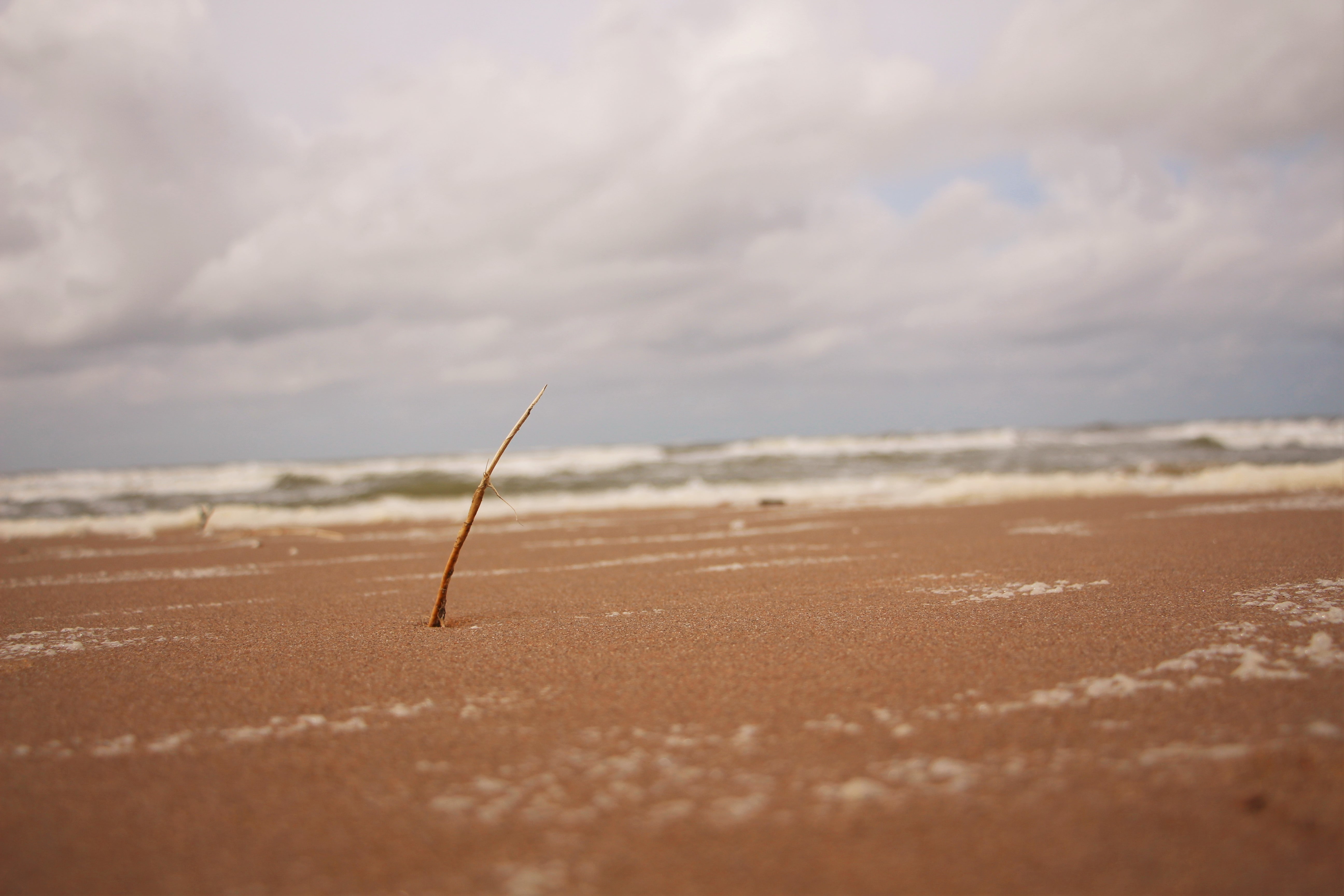 sunlight, Dutch, selective focus, sport, arid climate, water, sand, 5K, North Sea, tranquility, outdoors, non-urban scene, scenics - nature, vacations, HD Wallpaper