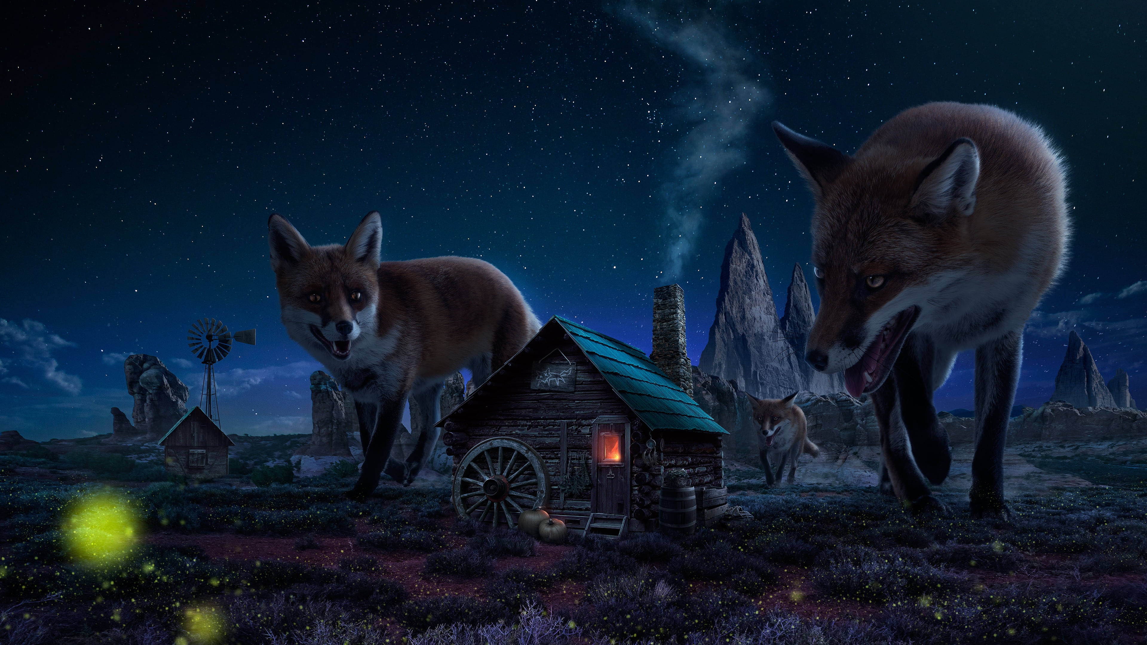 animal themes, pets, sky, Deutschland, nature, mammal, star - space, field, animal, Haus, illuminated, no people, tree, 4K, domestic animals, land, Dunkel, HD Wallpaper