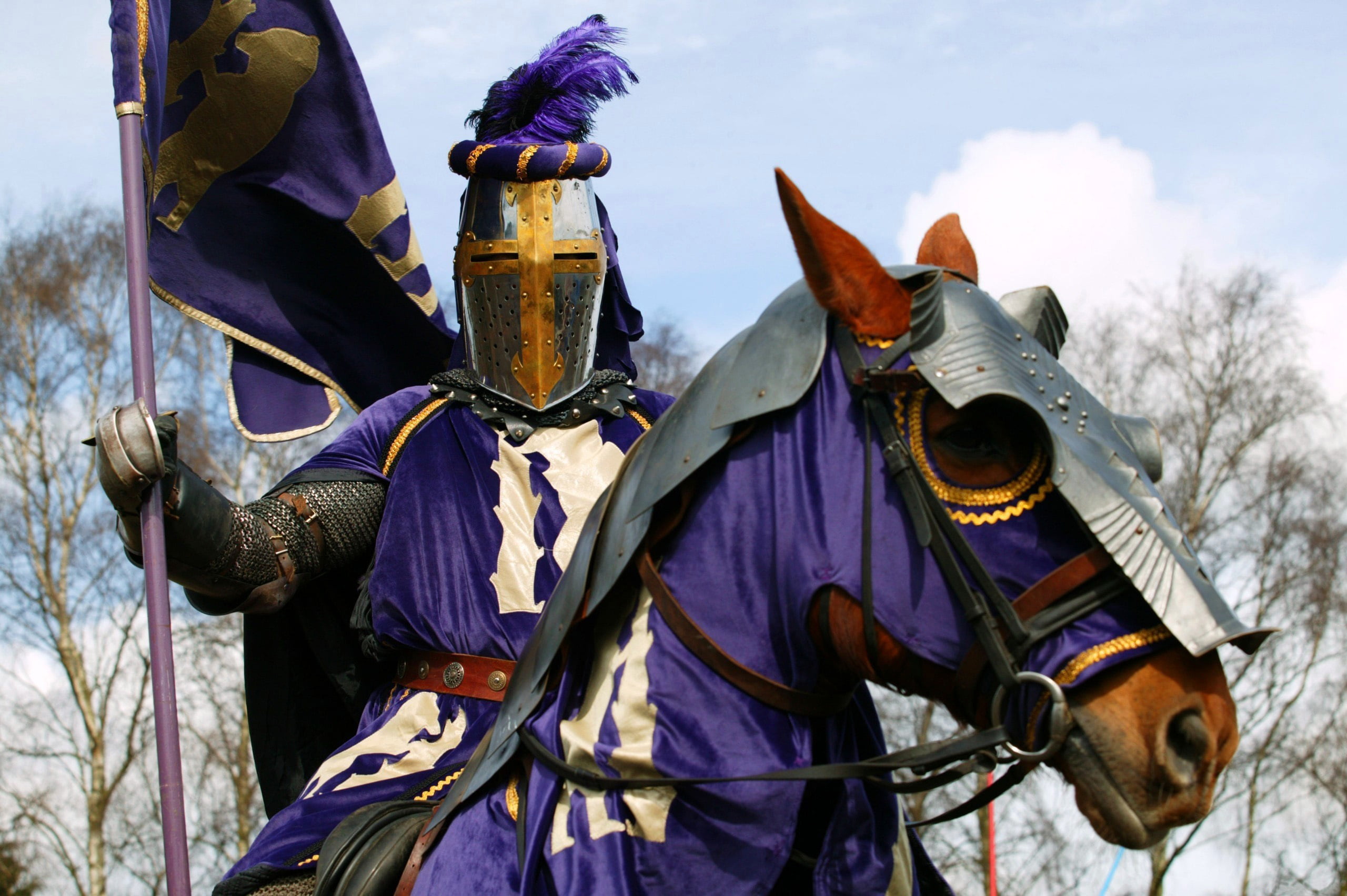 day, coat of arms, one animal, 2K, animal themes, animal, riding, mammal, purple, horse, horseback riding, activity, herbivorous, historical, pets, animal wildlife, HD Wallpaper