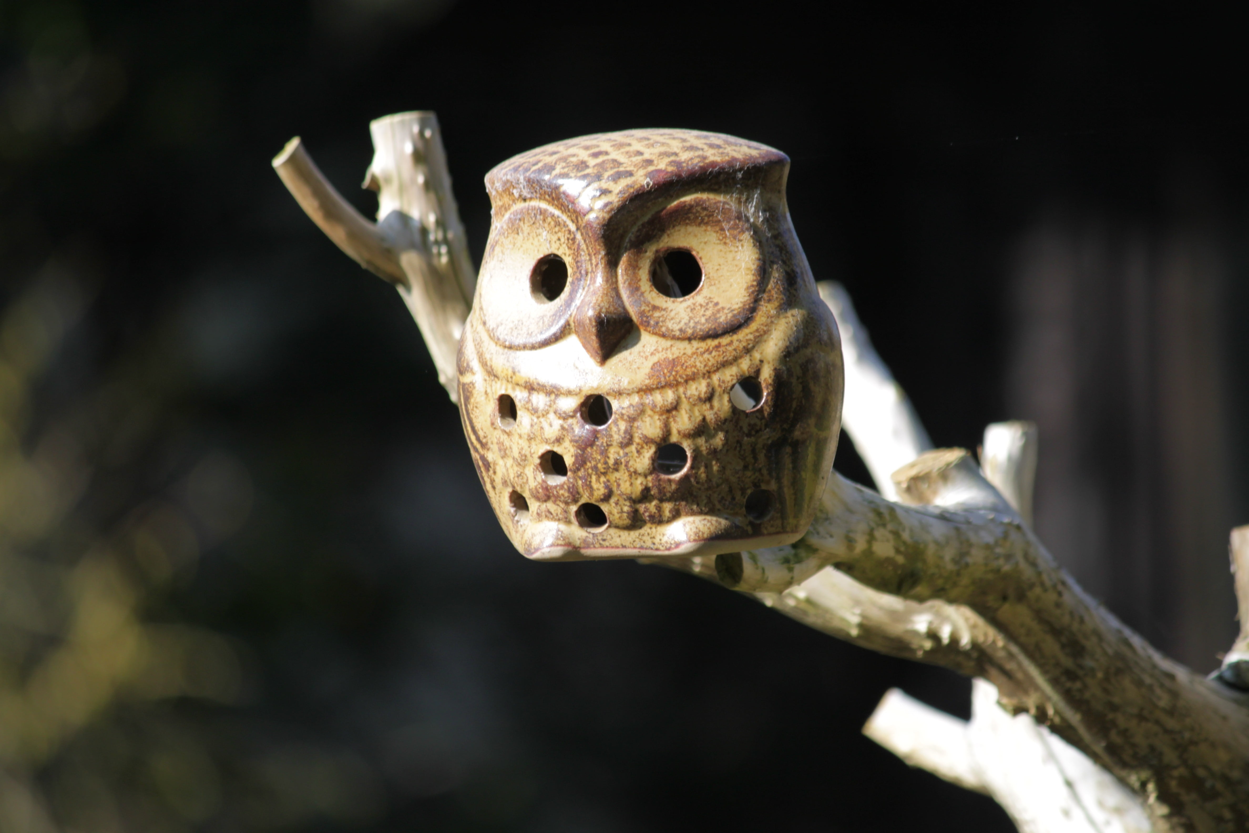 suspended, owl, tree, focus on foreground, bird, no people, craft, representation, reptile, animal, close-up, birds, black background, animal body part, HD Wallpaper