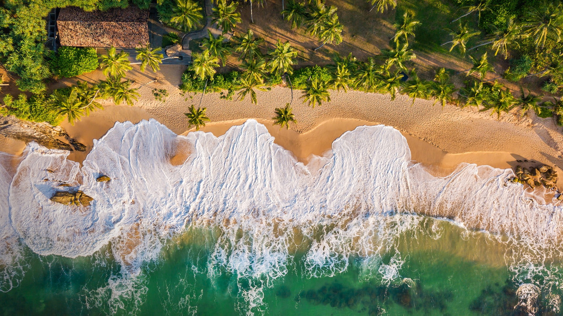 nature, sand, Sri Lanka, birds eye view, coast, trees, landscape, 1080P, water, Tangalle, aerial view, HD Wallpaper