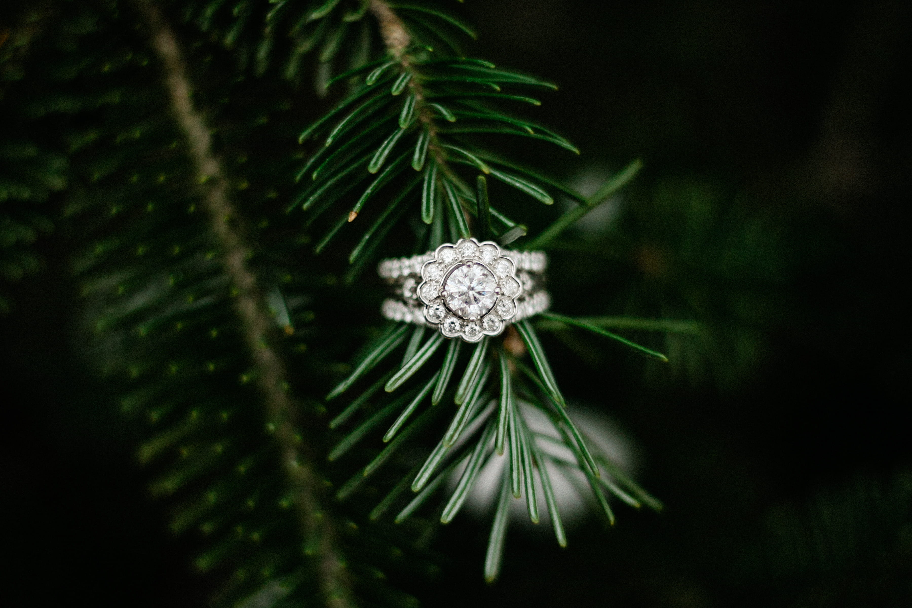 spruce, ornament, weed, colored, conifer, no people, day, accessory, focus on foreground, leaf, diamond, silver, tree, close-up, branch, crystal, larch, HD Wallpaper