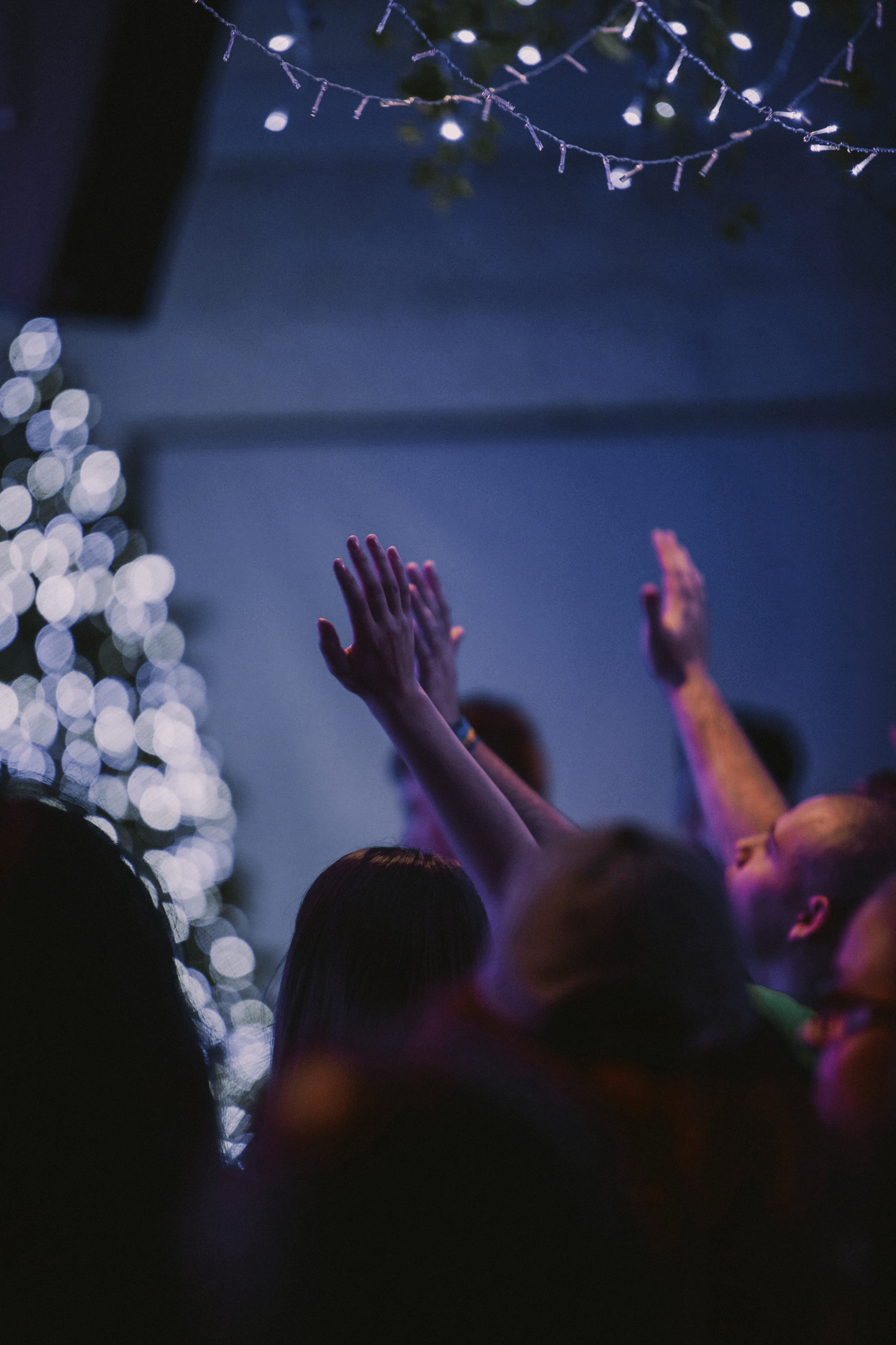 5K, rock concert, person, performance, real people, people, happiness, women, christmas, club, finger, human arm, night, leisure activities, arms raised, Phone HD Wallpaper