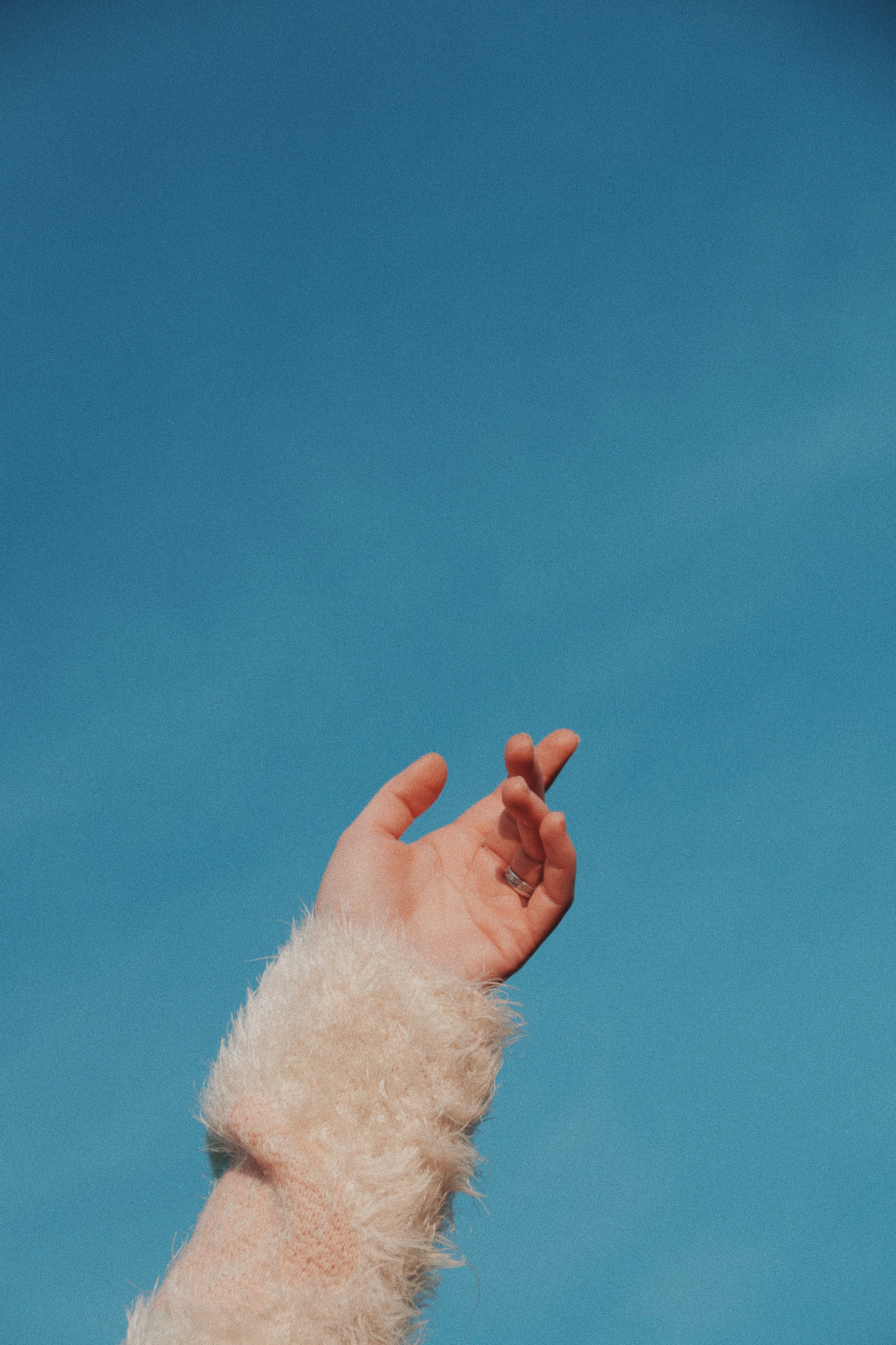 leisure activities, fur, 5K, blue background, human, sky, lifestyles, adventure, finger, indoors, animal, thumbs up, copy space, body part, unrecognizable person, Phone HD Wallpaper