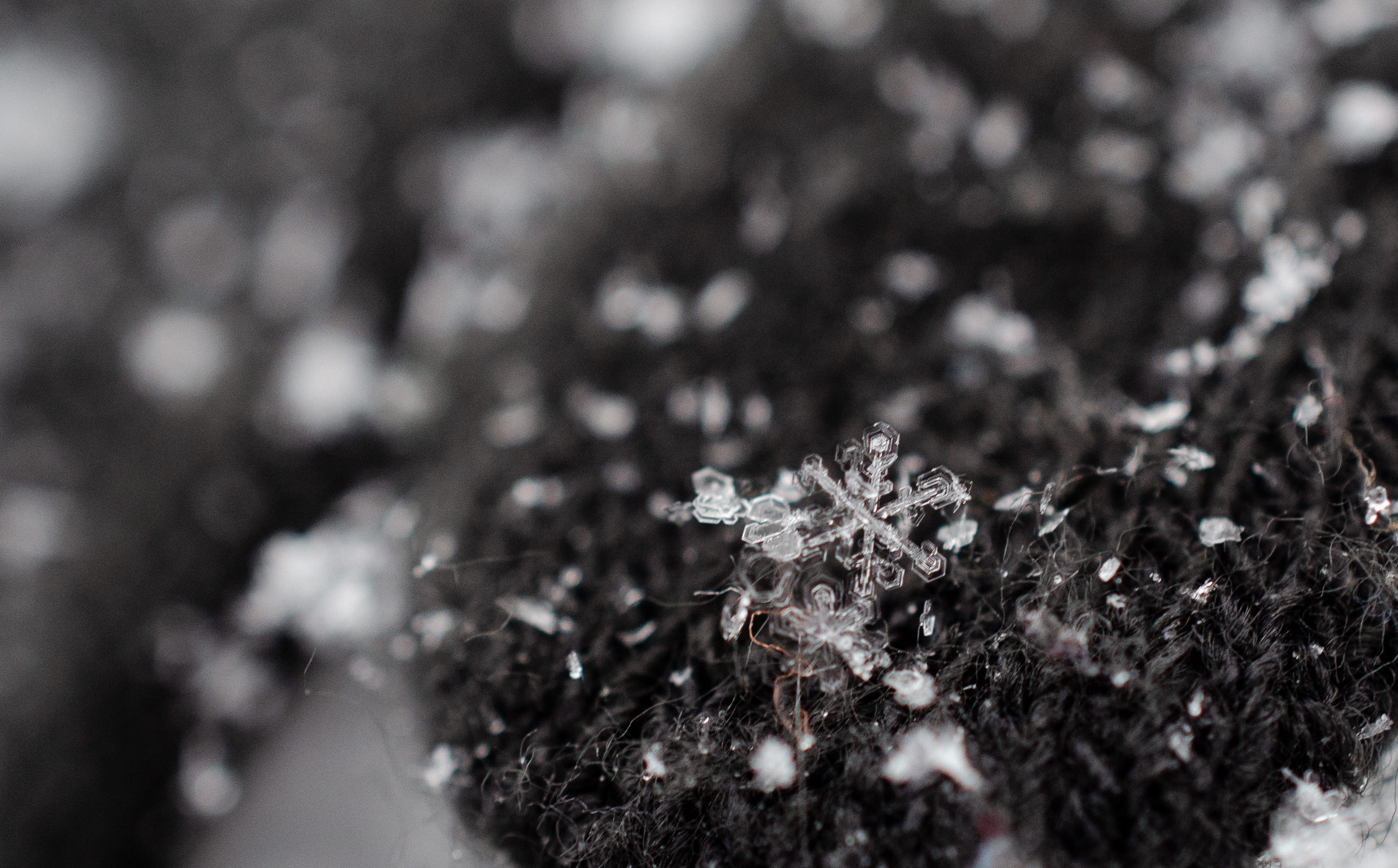 safe, coin, vulnerability, nuclear, no people, smoke pipe, flowering plant, 2K, tar, beauty in nature, selective focus, close, cold temperature, jewelry, HD Wallpaper