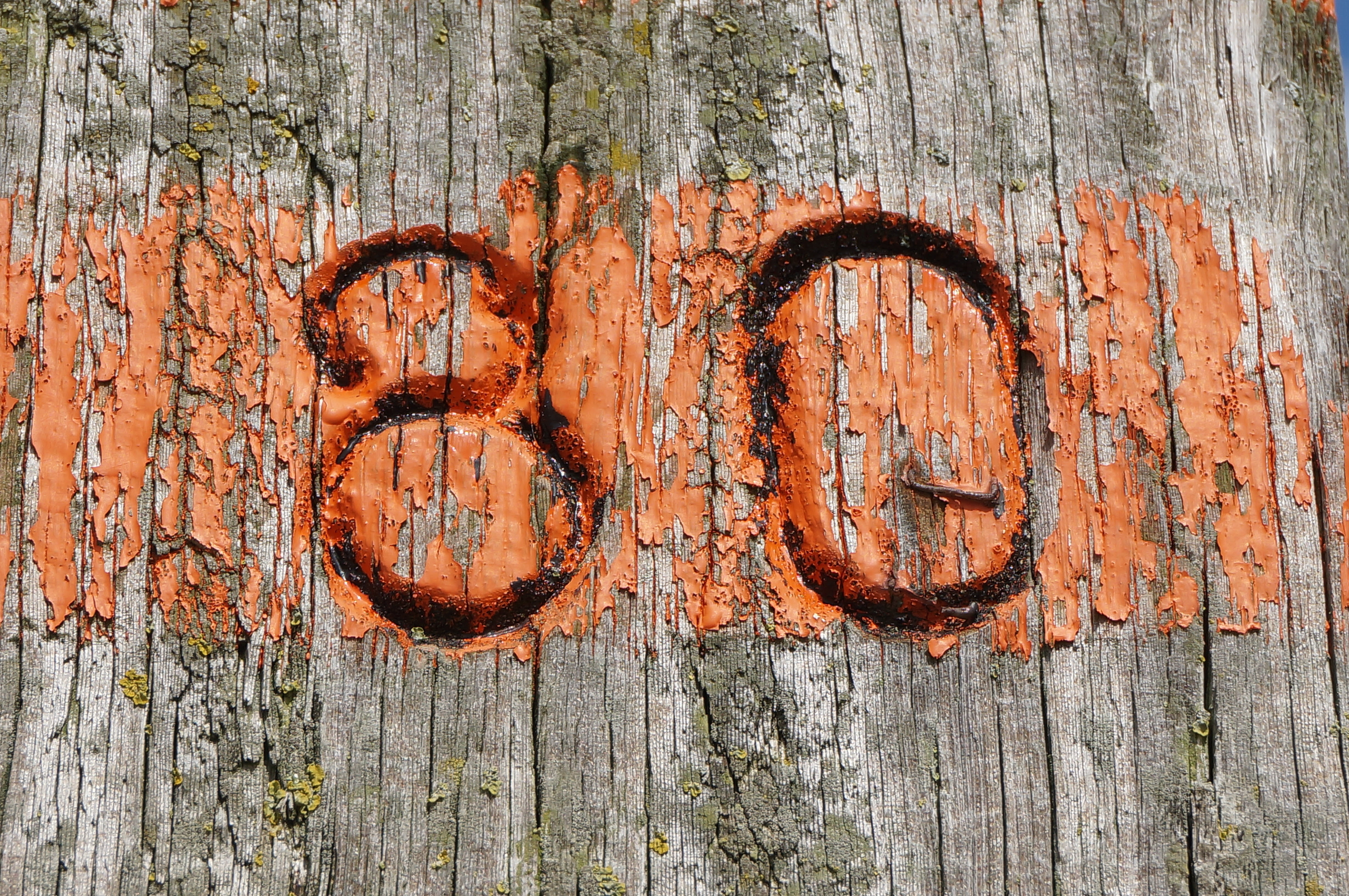 wood, communication, decline, textured, text, backgrounds, day, beach, wood - Material, rough, brown, outdoors, no people, orange, old, deterioration, eighty, HD Wallpaper