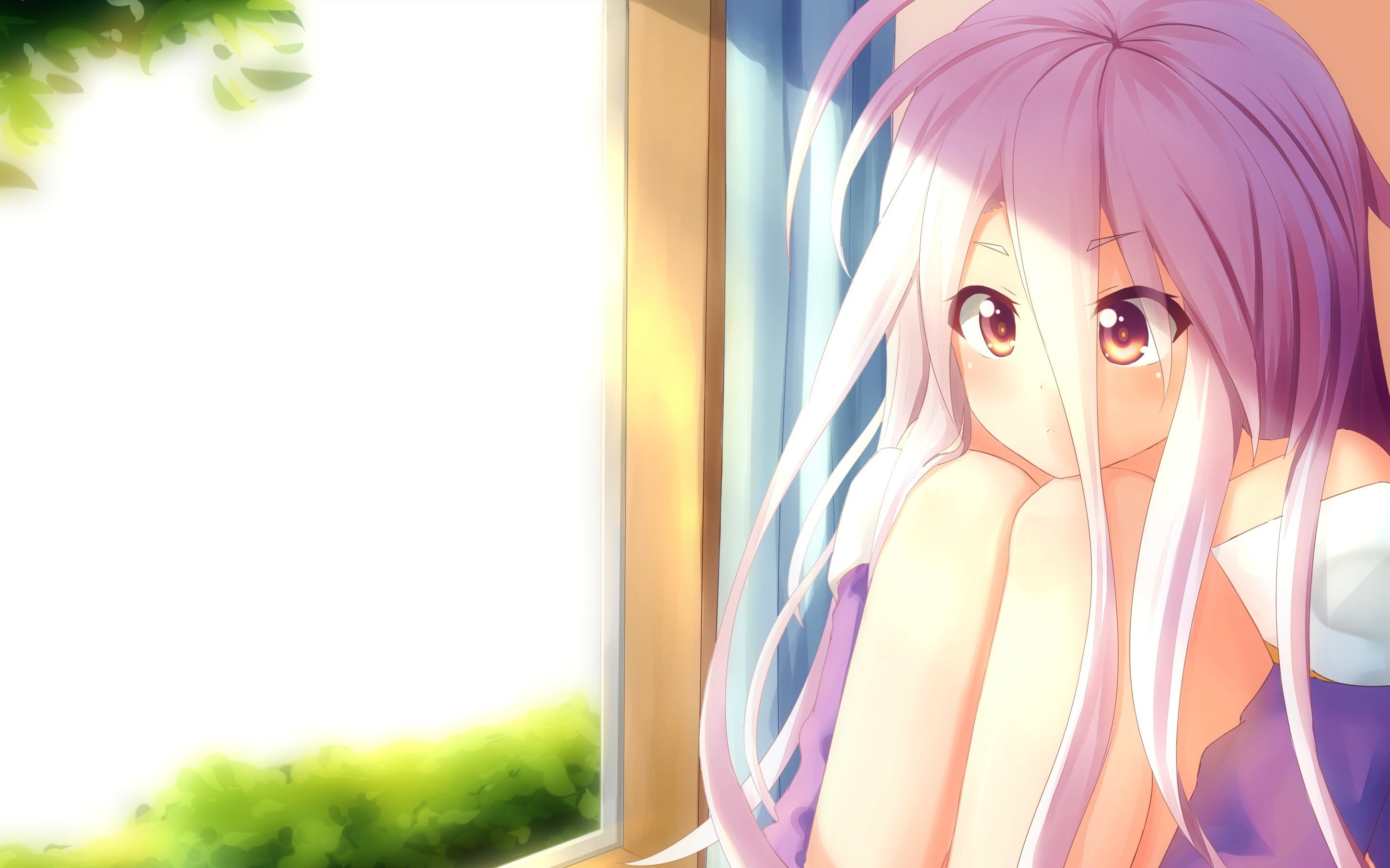 Shiro (No Game No Life), No Game No Life, loli, Nintendo 3DS, 2K, window, anime, long hair, anime girls, HD Wallpaper