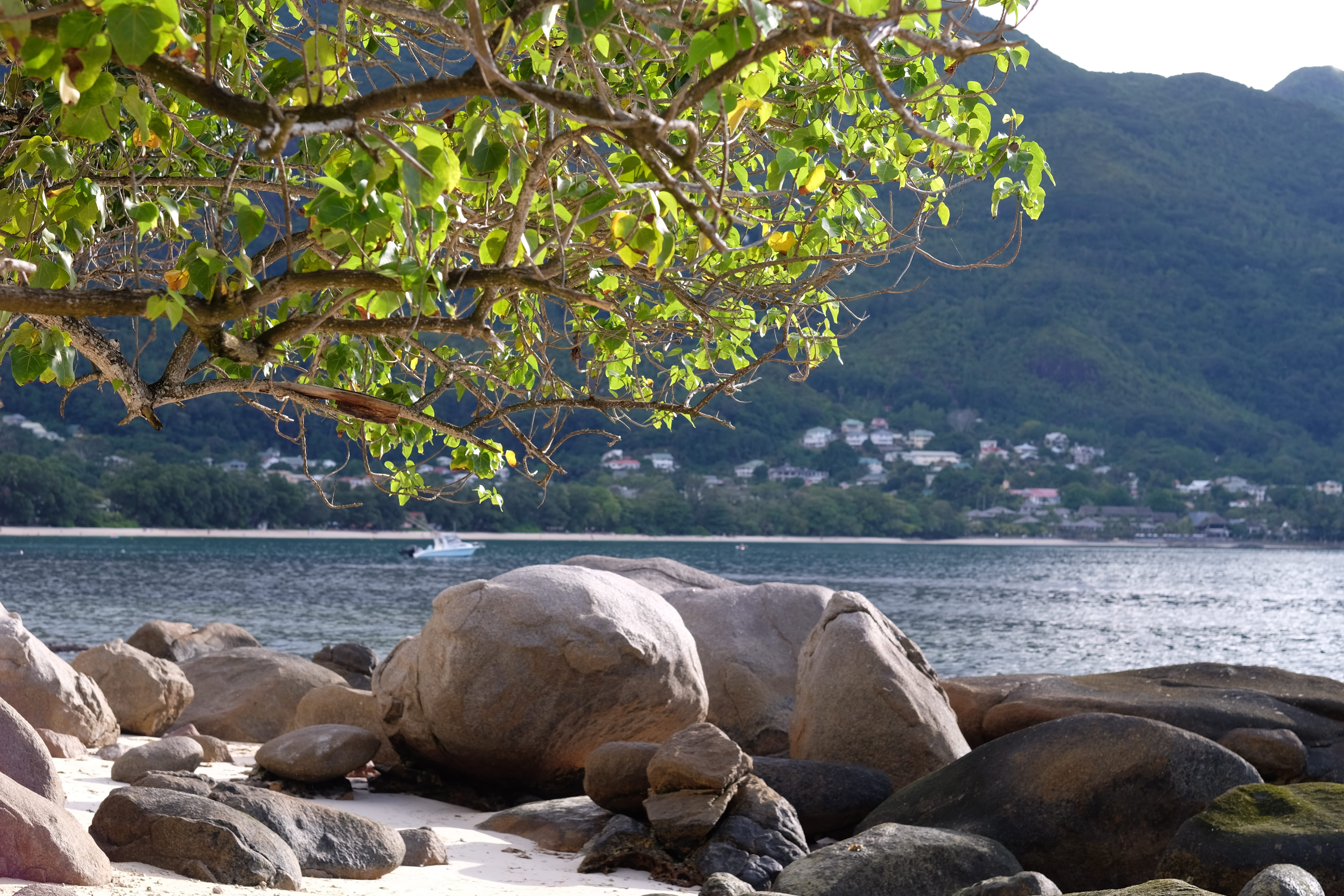 rock - object, trees, tranquility, day, nature, outdoors, mountain, lake, beau vallon, beau vallon beach, flowing water, land, plant, ocean, scenics - nature, HD Wallpaper