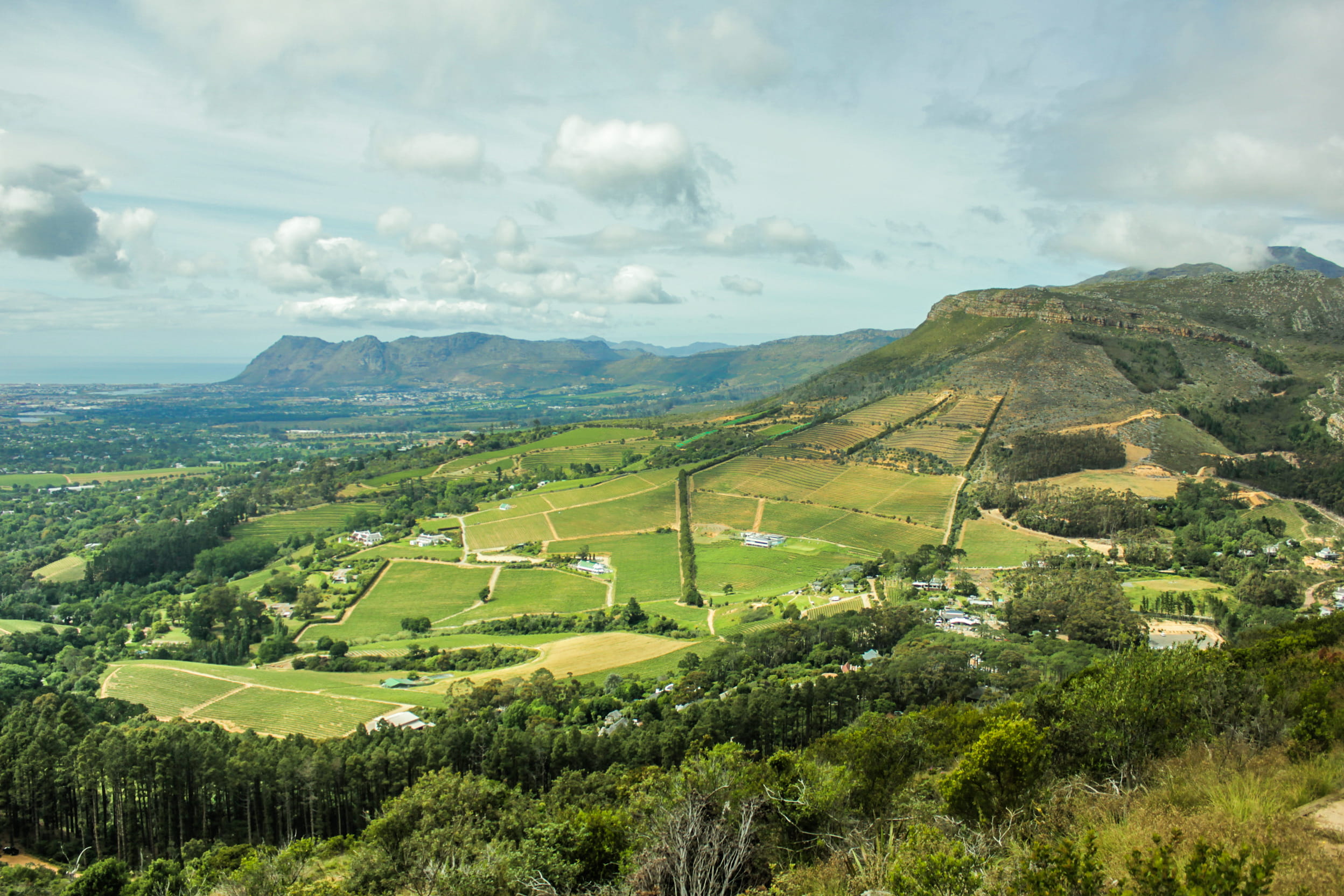 day, beauty in nature, cape town, view, agriculture, farming, green color, mountain, tranquil scene, constantia, no people, tranquility, scenics - nature, HD Wallpaper