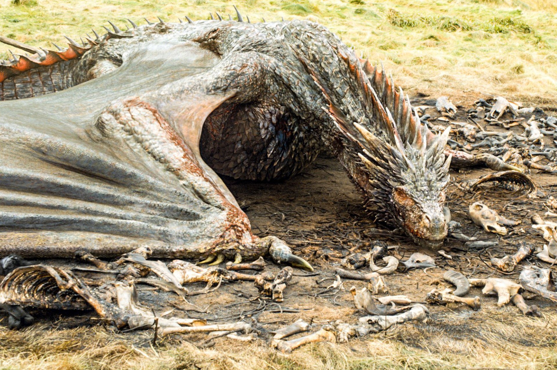 Game Of Thrones, TV Show, 1080P, Drogon (Game Of Thrones), Dragon, HD Wallpaper