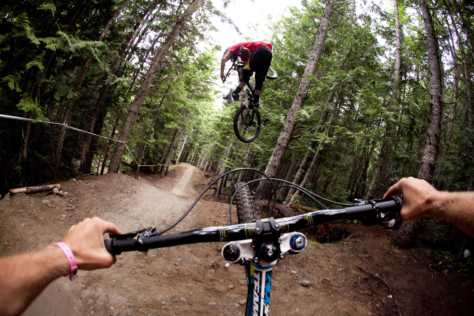 scenic, hd, nature, bicycles, forests, forest, 720P, jumping, x, art, roads, fpv, Trees, HD Wallpaper