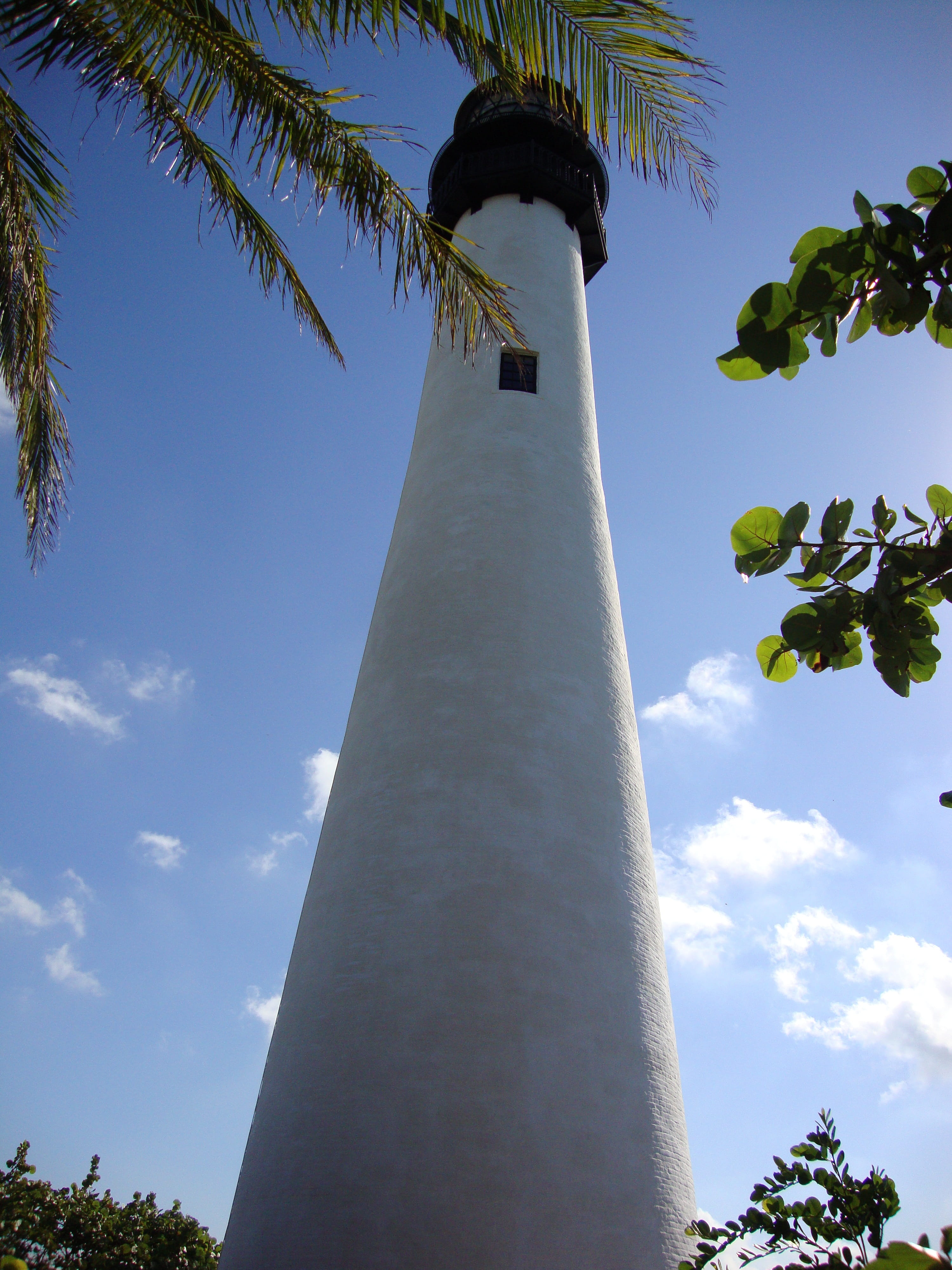 cloud - sky, sunlight, architectural column, coconut palm tree, low angle view, travel, building exterior, travel destinations, plant, architecture, palm tree, Phone HD Wallpaper