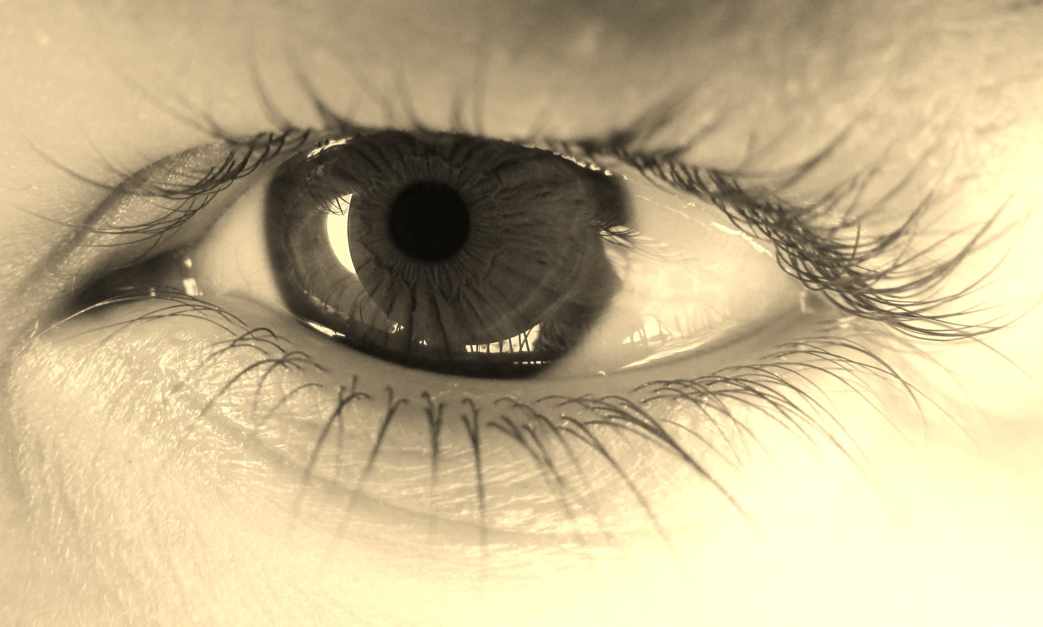 extreme close-up, eyesight, real people, unrecognizable person, black and white photo, portrait, černobílí, eye, 2K, view, algae, eyeball, close-up, one person, HD Wallpaper