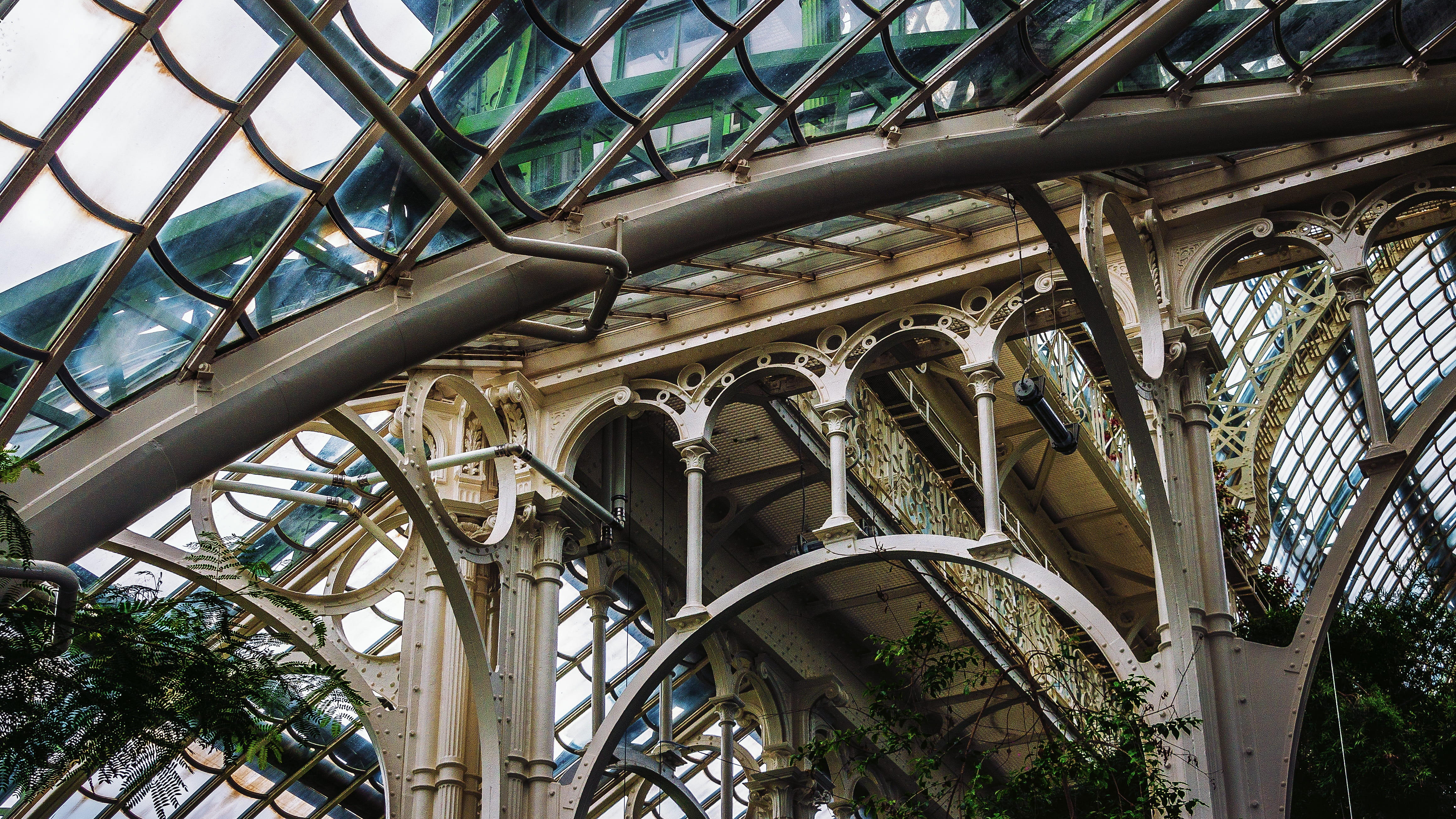 glass, art nouveau, the past, architecture, connection, no people, 4K, security, vienna, structure, palm house, nature, travel, metal, sky, low angle view, HD Wallpaper