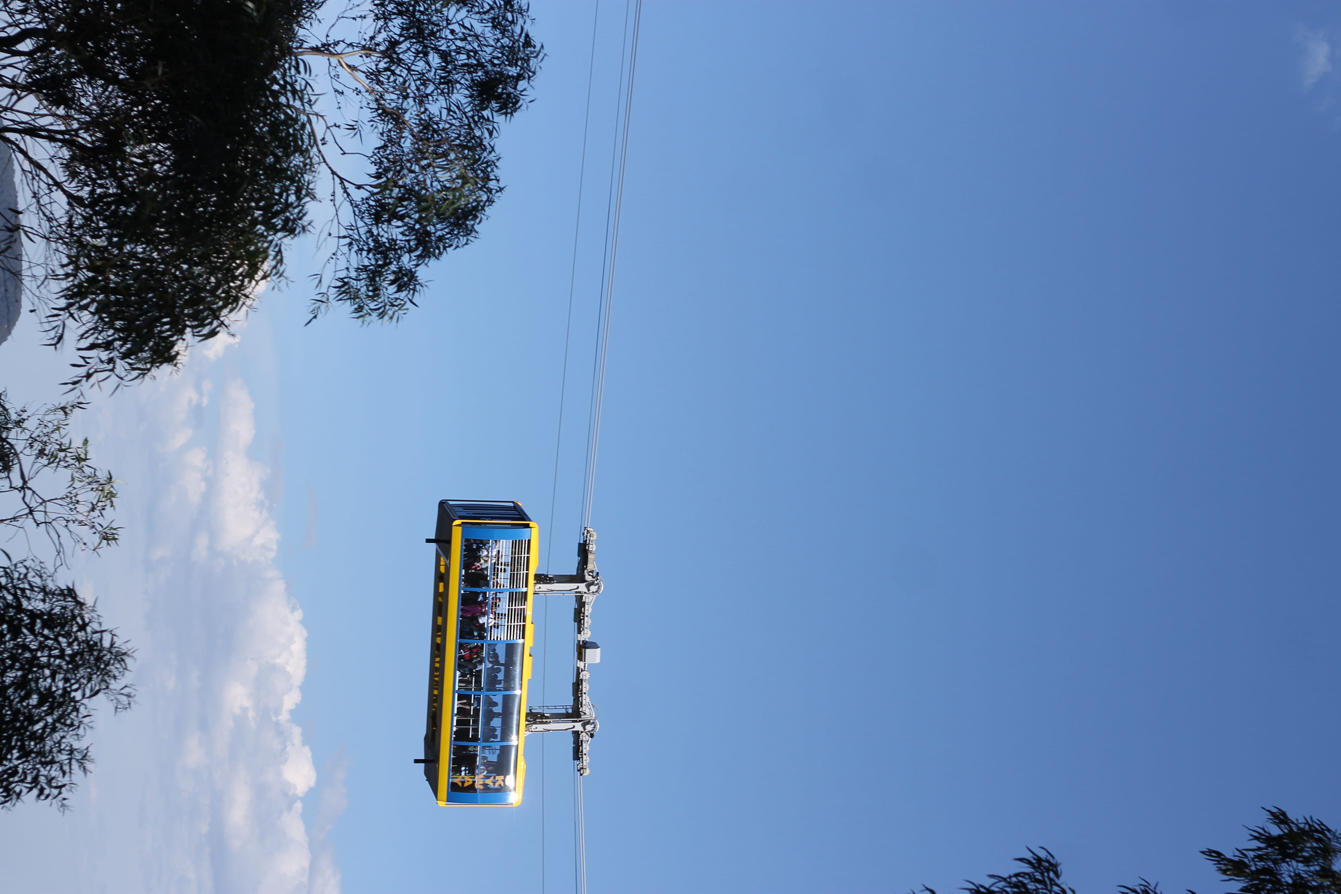 plant, blue, clear sky, hang, mountain, visit, technology, low angle view, lake, outdoors, connection, copy space, travel, nature, cable, tour, skytrain, HD Wallpaper