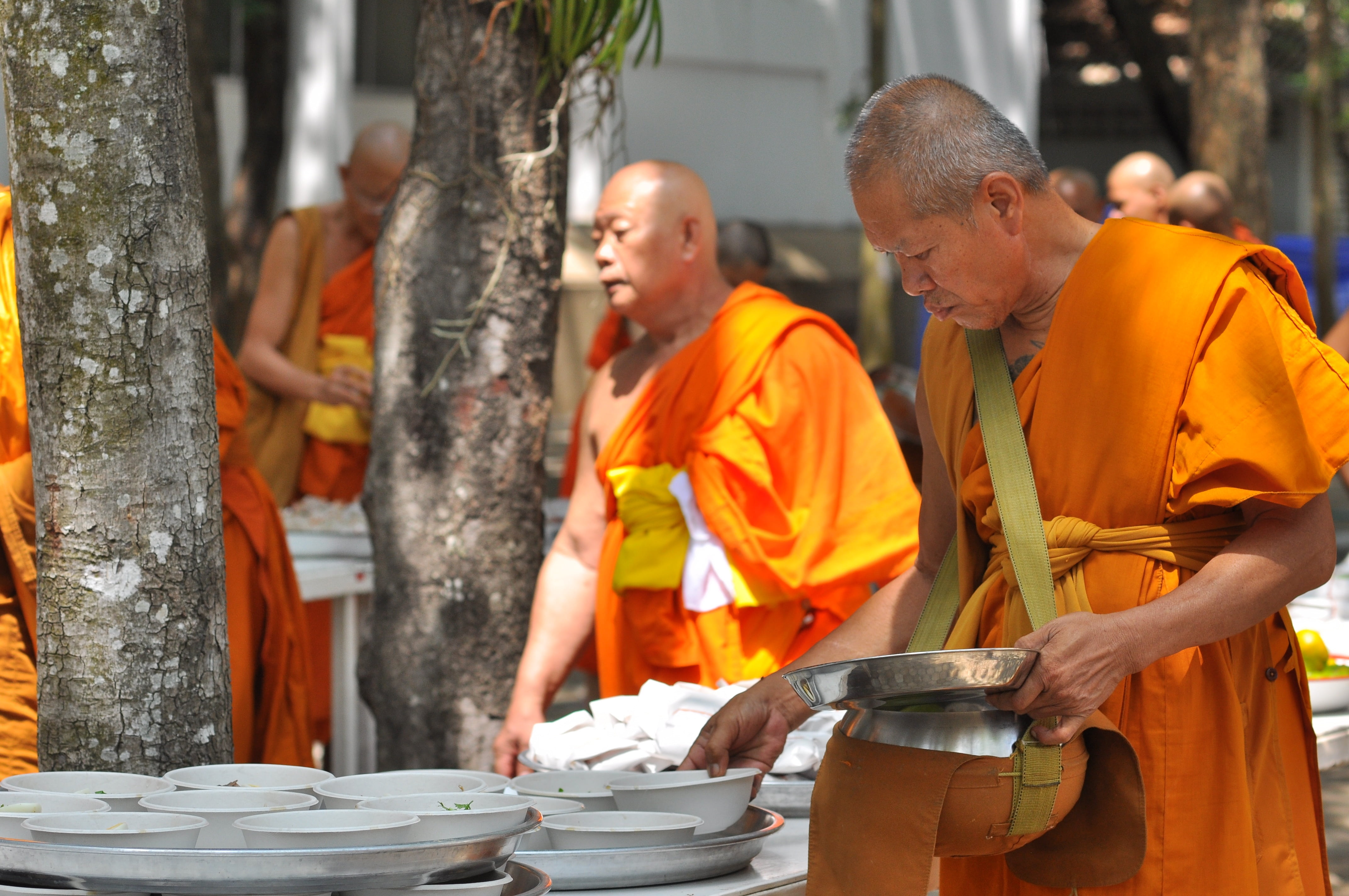 buddhists, working, mature adult, side view, males, buddhism, real people, two people, the english, mature men, alms, standing, business, people, cooperation, HD Wallpaper