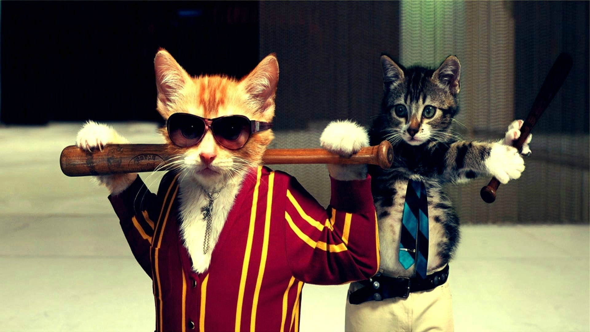 digital art cat mafia baseball baseball bats humor, 1080P, HD Wallpaper
