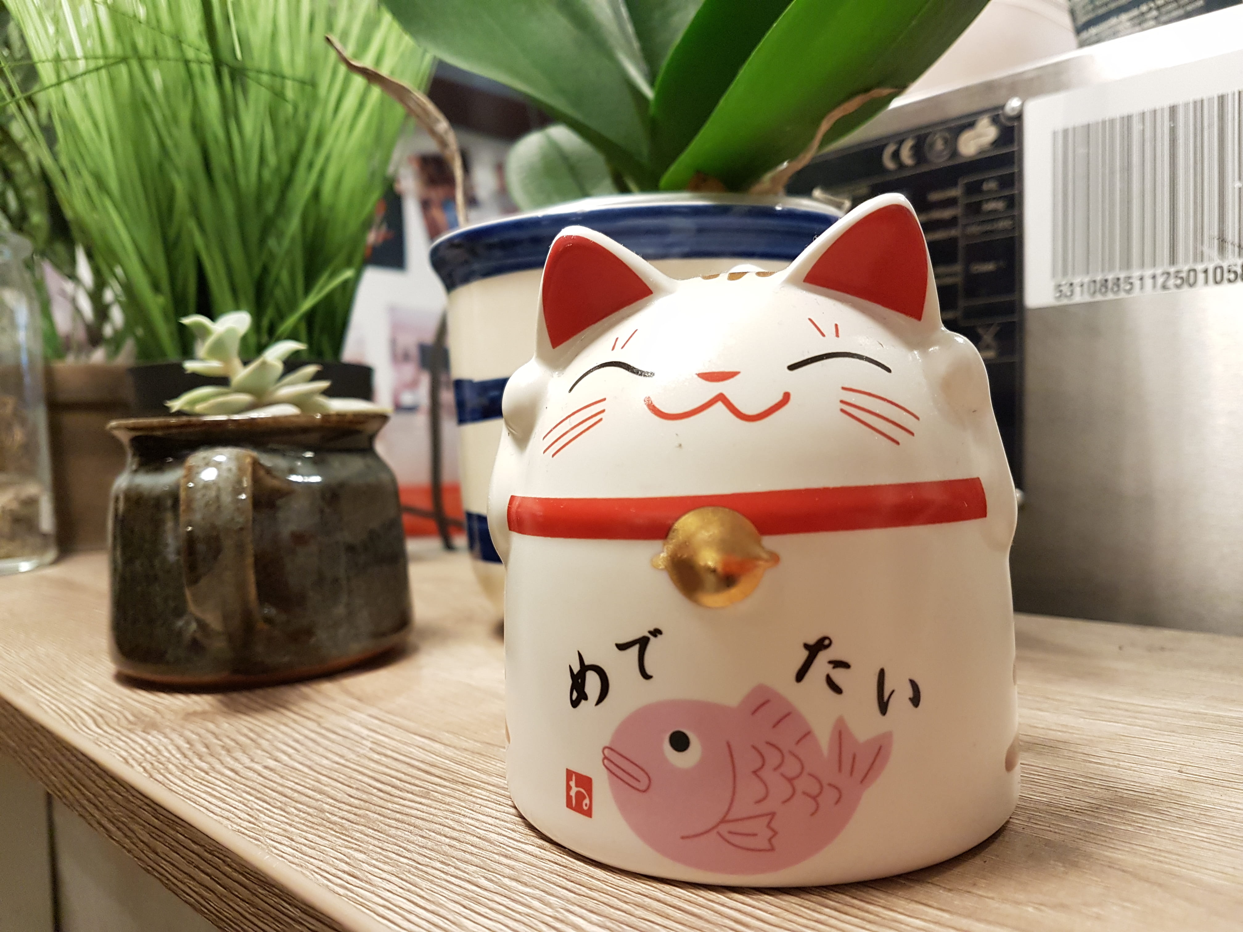 container, amsterdam, cat, interior, netherlands, art and craft, food, representation, kinkerstraat 73c, asian, lucky cat, focus on foreground, lucky, tradition, HD Wallpaper