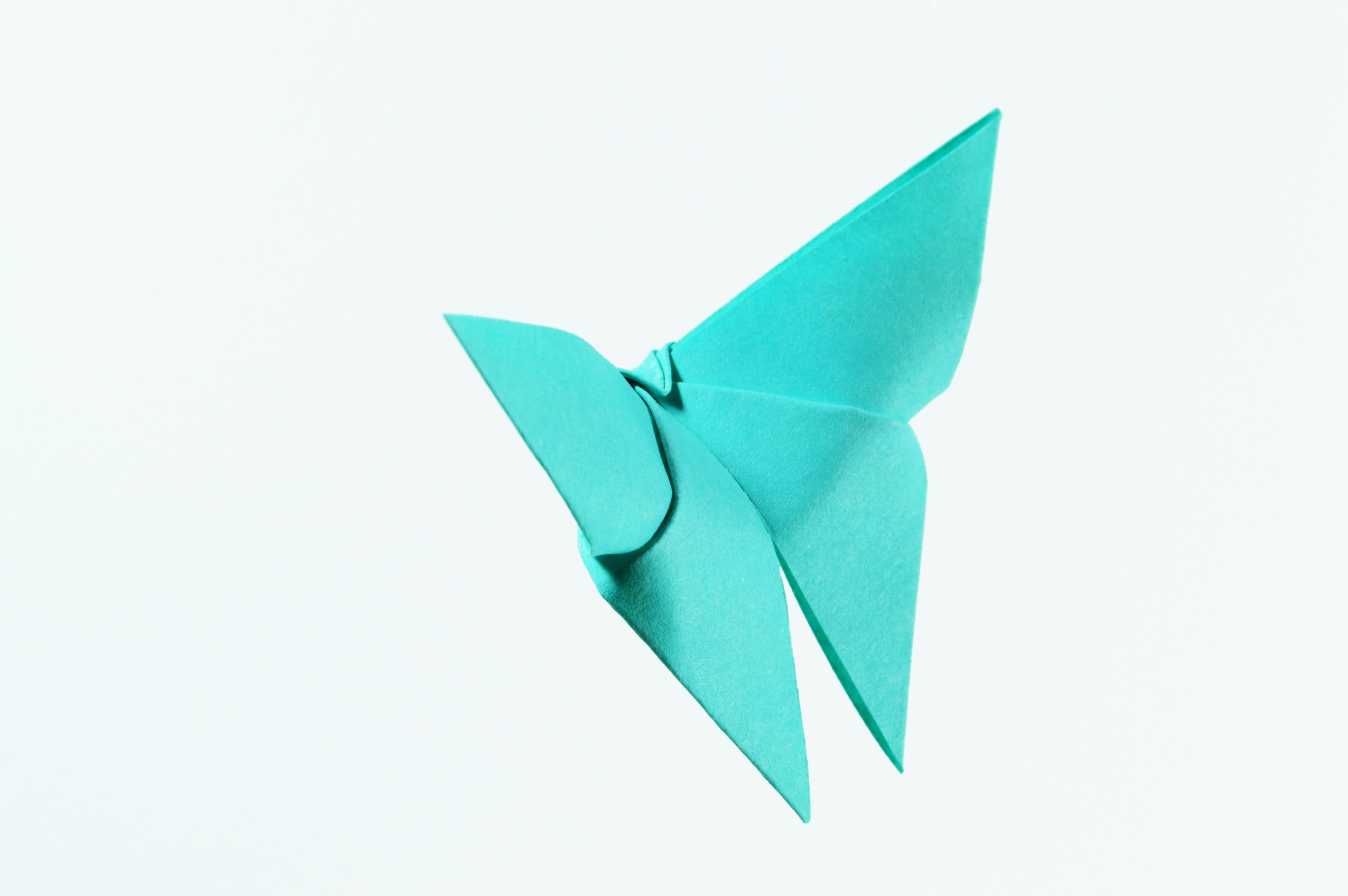 wing, surface, folded, origami, single object, green color, craft, decor, nature, simplicity, culture, blue, turquoise colored, close-up, two objects, japanese, HD Wallpaper