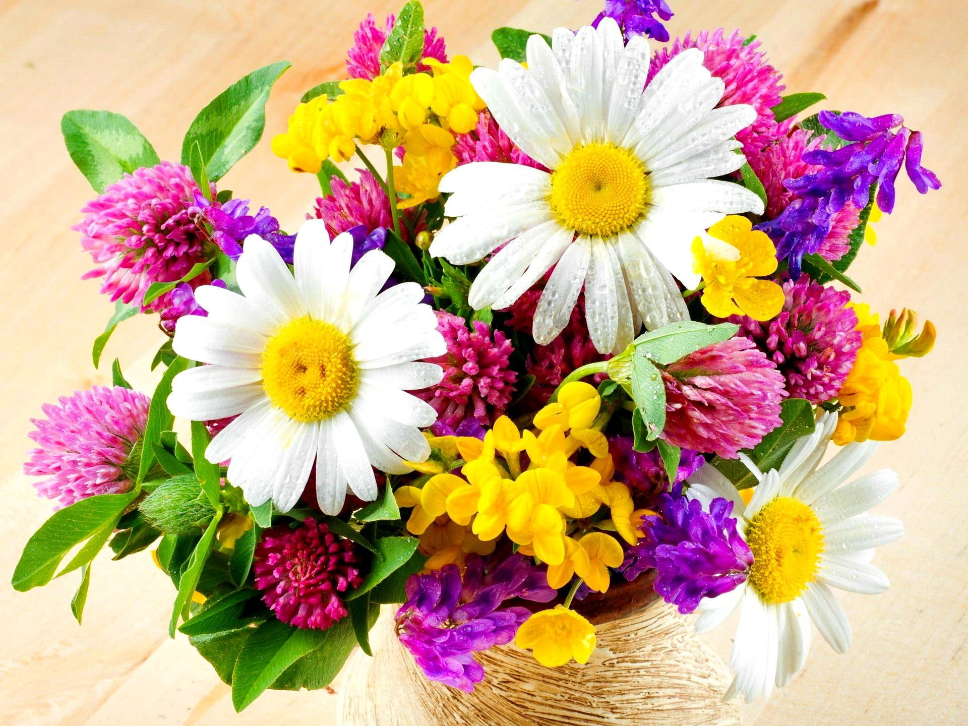 daisies, basket, fresh, field flowers, floral, colorful, still life, nice, beautiful, lovely, delight, flowers, 1080P, HD Wallpaper