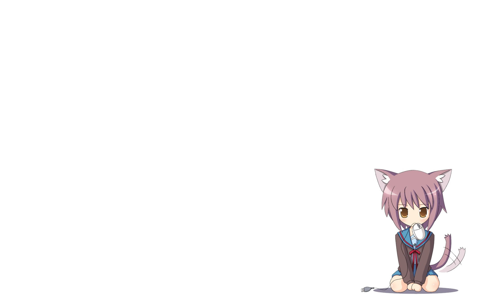 looking at camera, white background, studio shot, 1080P, front view, animal representation, one animal, mammal, nekomimi, representation, portrait, domestic animals, HD Wallpaper
