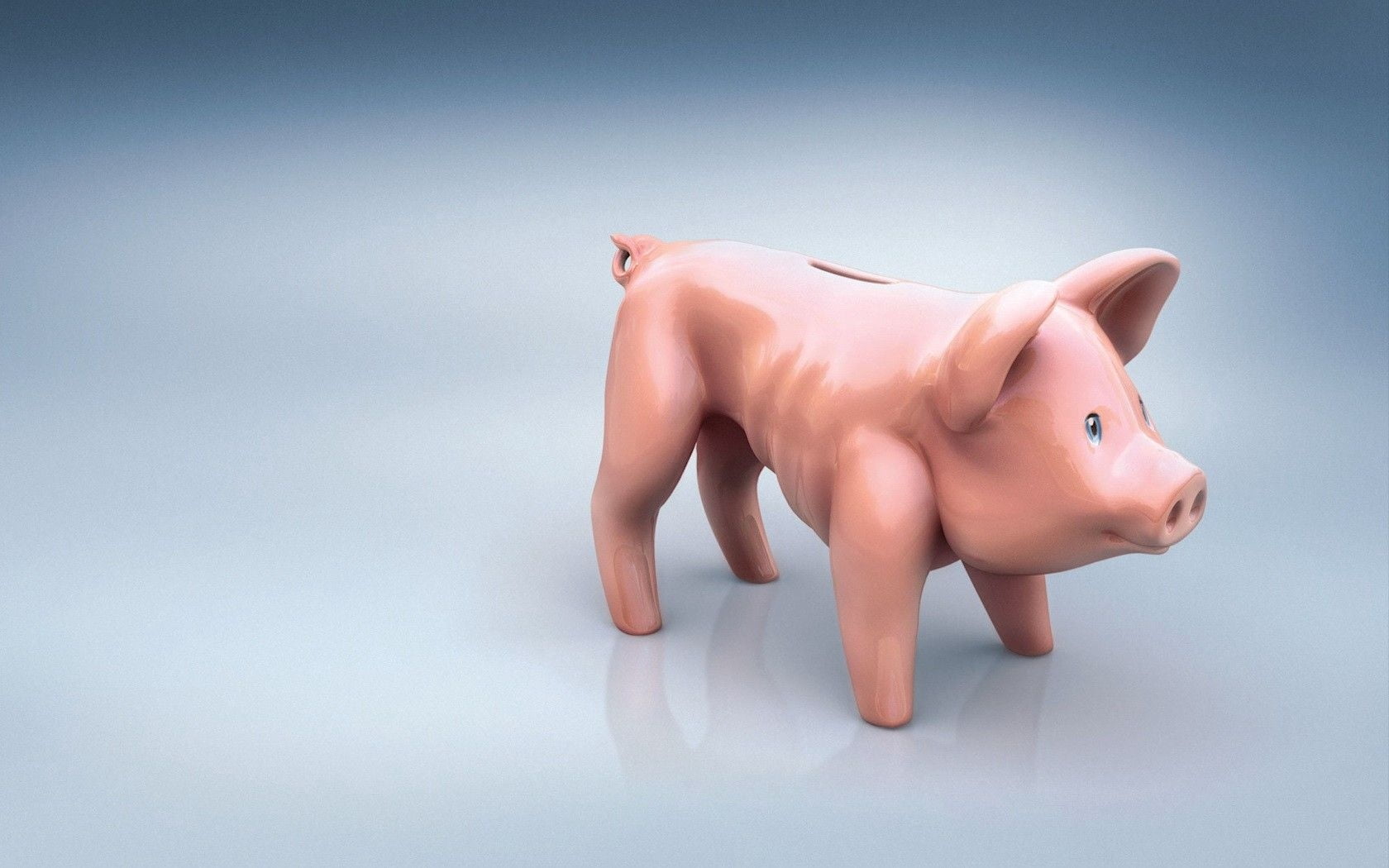 white Background, animal, form, home Finances, coin, coin Bank, pig, savings, studio Shot, finance, making Money, isolated, bank, ceramic, space, piggy Bank, HD Wallpaper