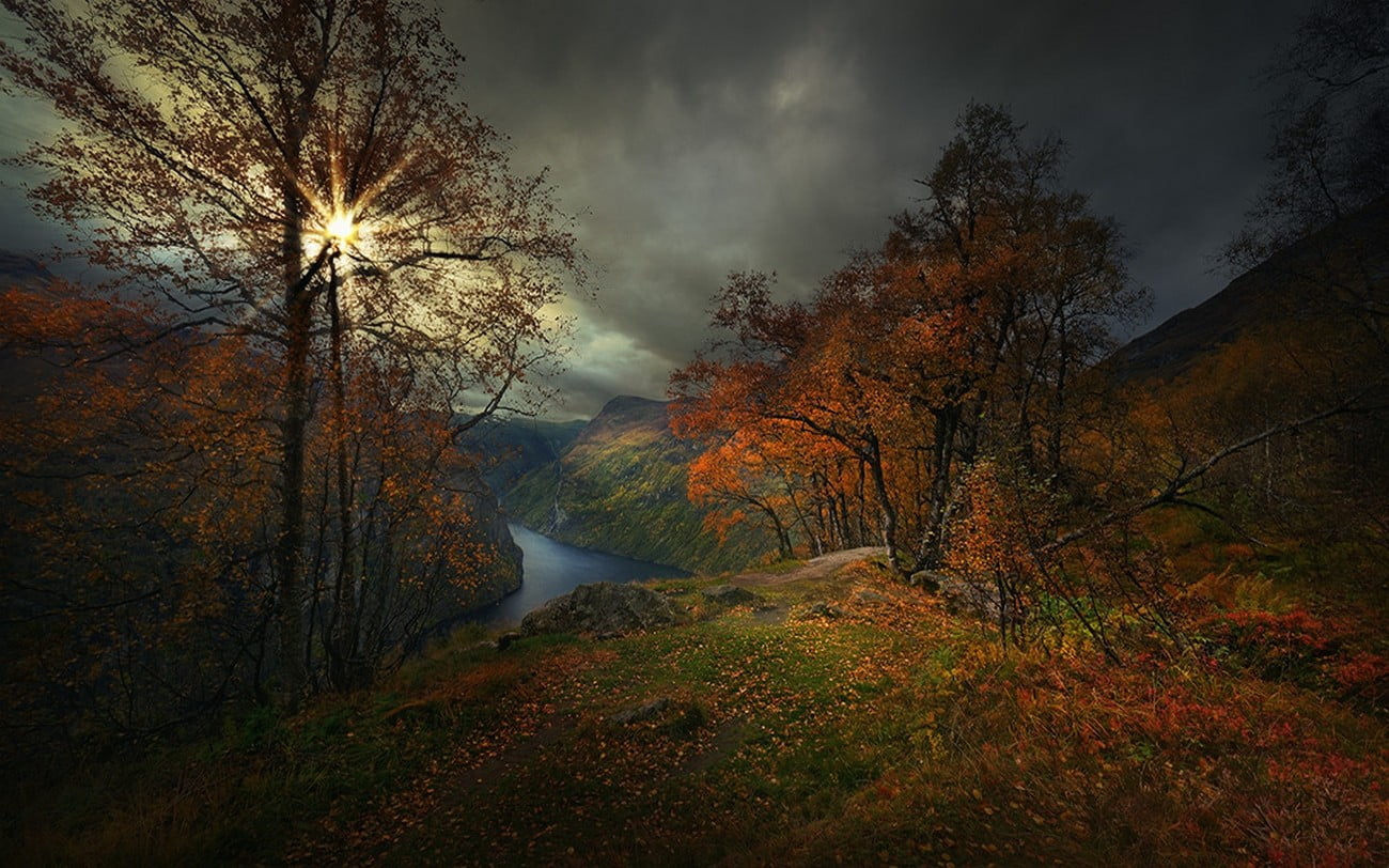 orange color, shrubs, Norway, autumn collection, no people, scenics - nature, tranquil scene, tranquility, outdoors, land, trees, forest, photography, Geiranger, HD Wallpaper