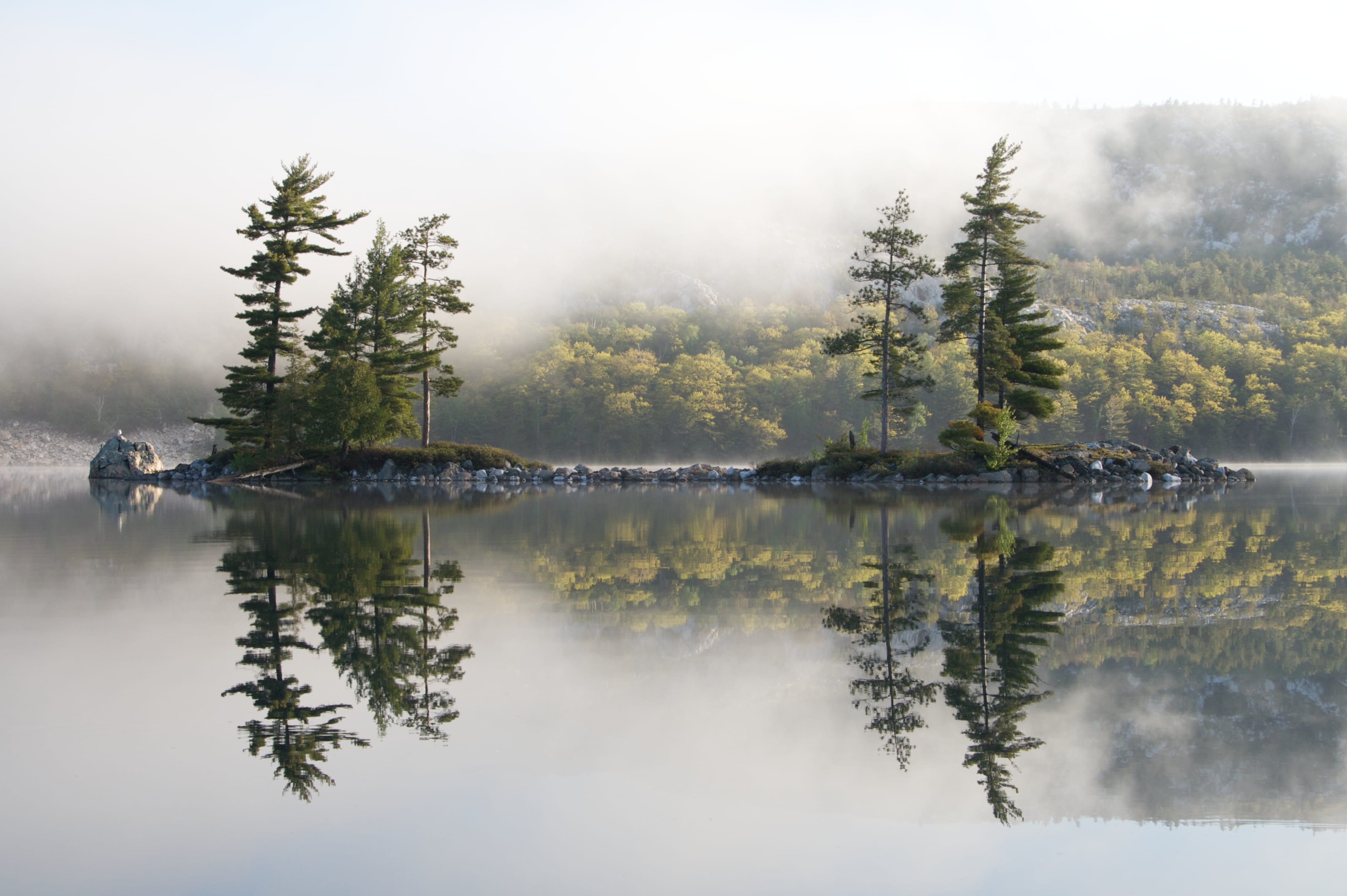 winter, water, scenics, green, forest, wilderness Area, reflective, jack pine, islet, cloud, blue, fog, calm, body, near, outdoors, season, white pine, HD Wallpaper