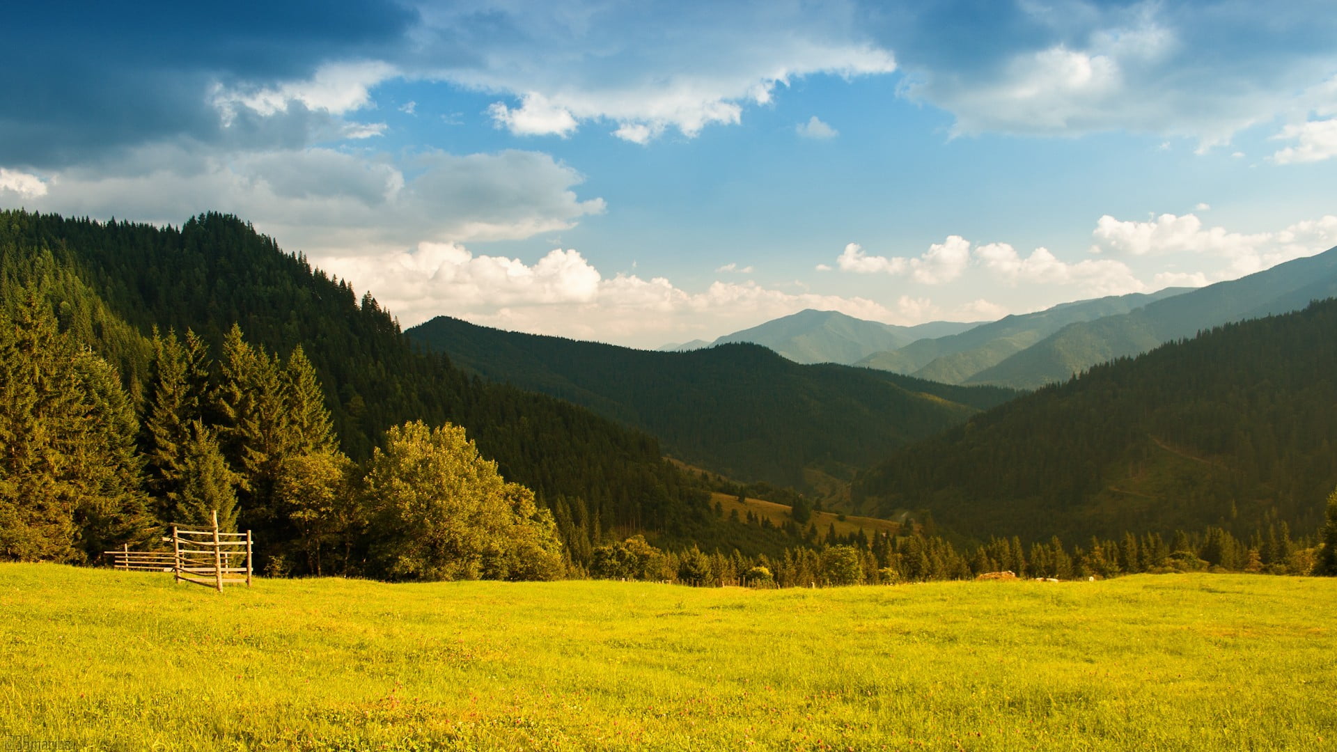1080P, tranquility, plant, landscape, springtime, cloud - sky, nature, tree, environment, pine tree, beauty in nature, ground, blue, sky, scenics - nature, HD Wallpaper