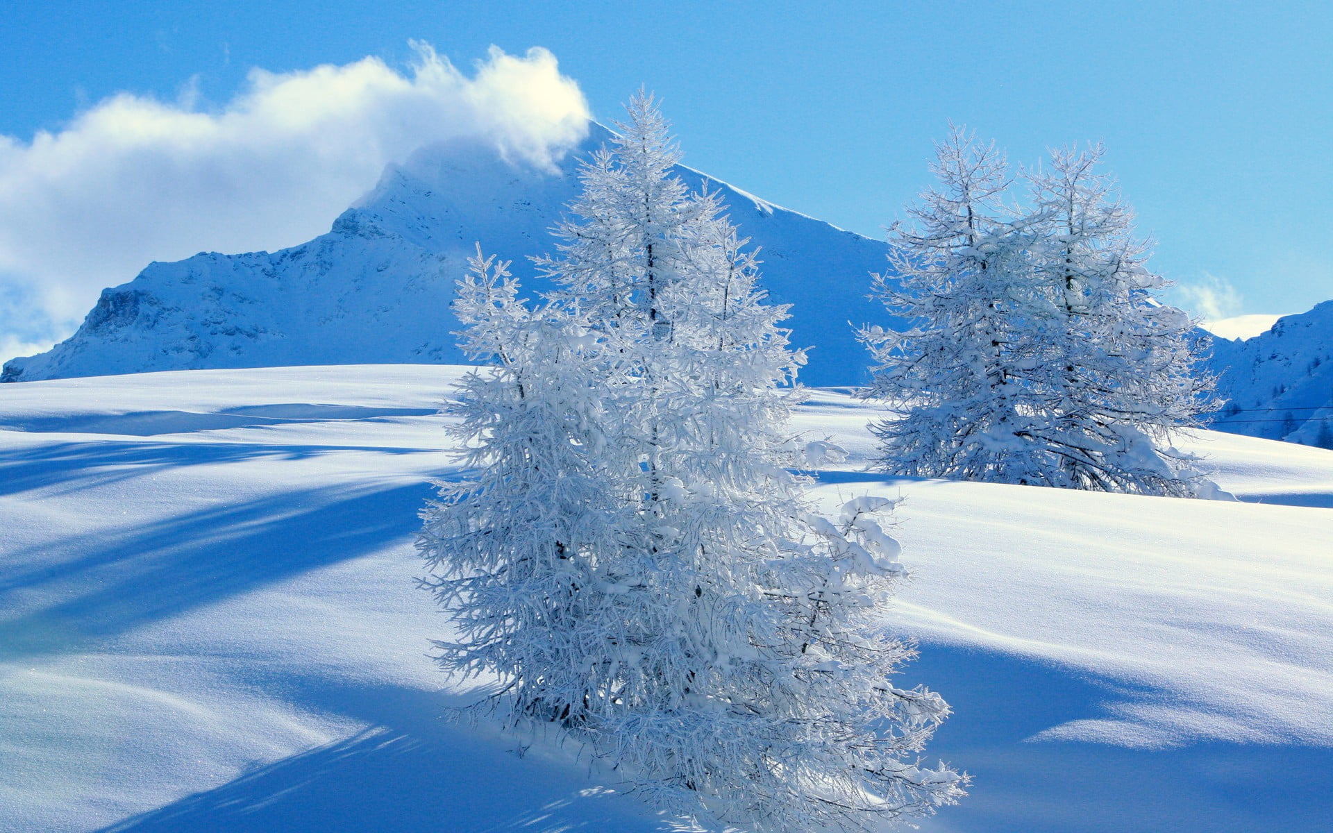 environment, forest, landscape, winter, pool, 1080P, tree, woodland, beauty in nature, coniferous tree, fir tree, mountains, snow, white, tranquil scene, HD Wallpaper