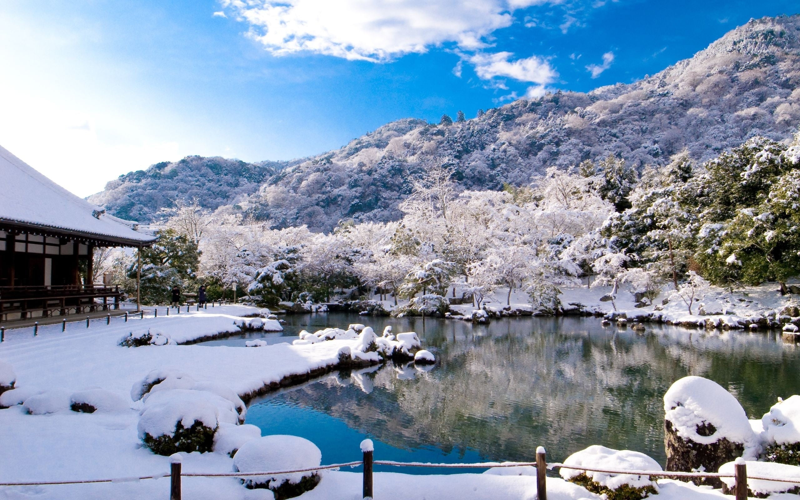 built structure, tree, pool, beauty in nature, tranquil scene, no people, water, architecture, cold temperature, tranquility, trees, blue, nature, sky, HD Wallpaper