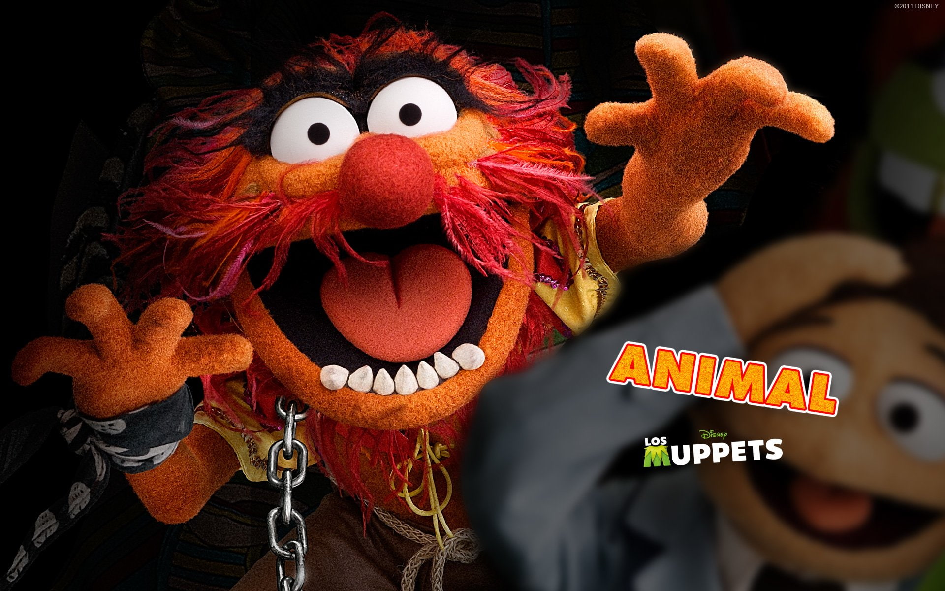 The Muppets (TV Show), TV Show, The Muppet Show, 1080P, HD Wallpaper