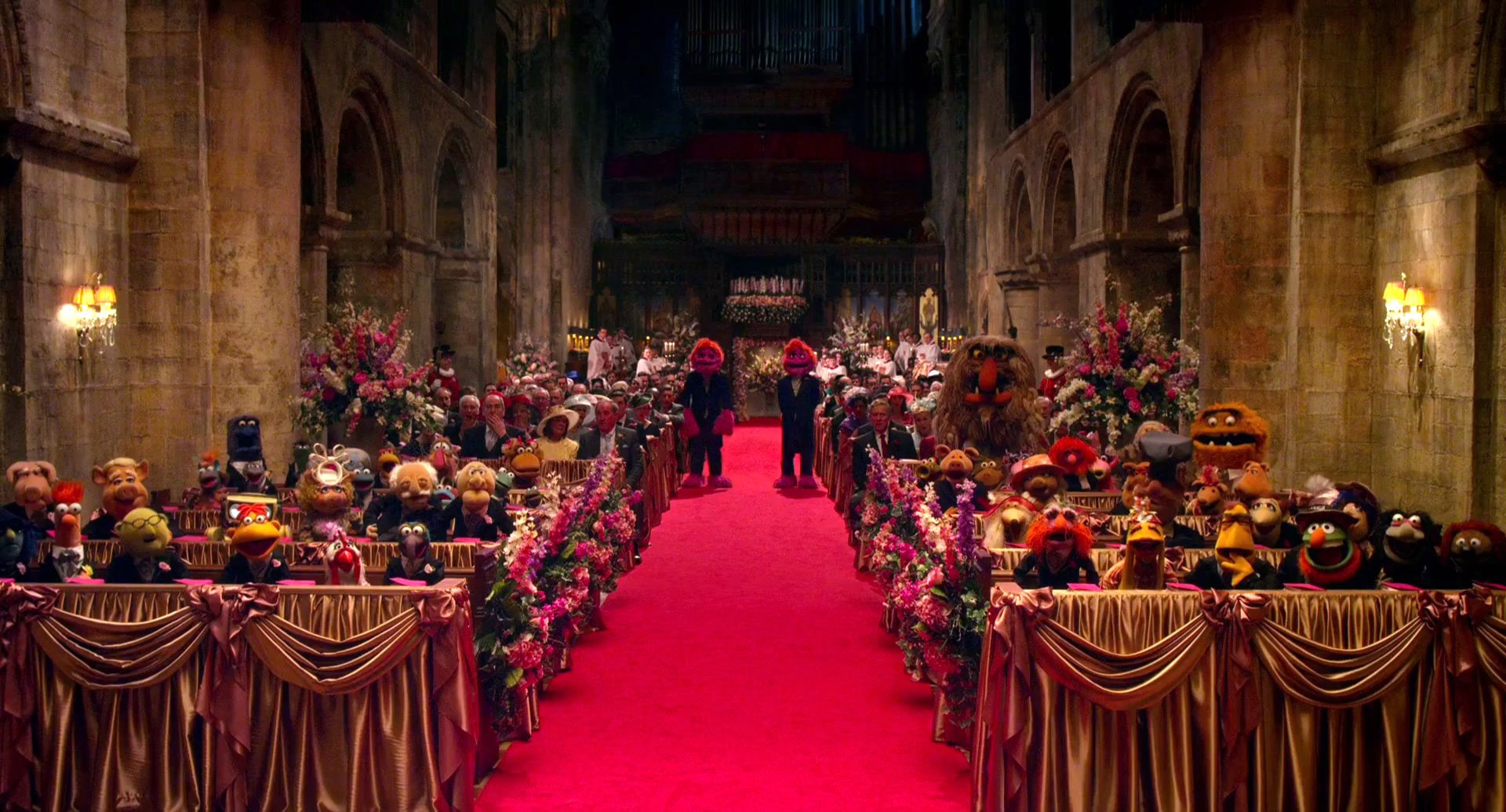 1080P, puppet, comedy, muppets, family, wanted, adventure, disney, crime, HD Wallpaper