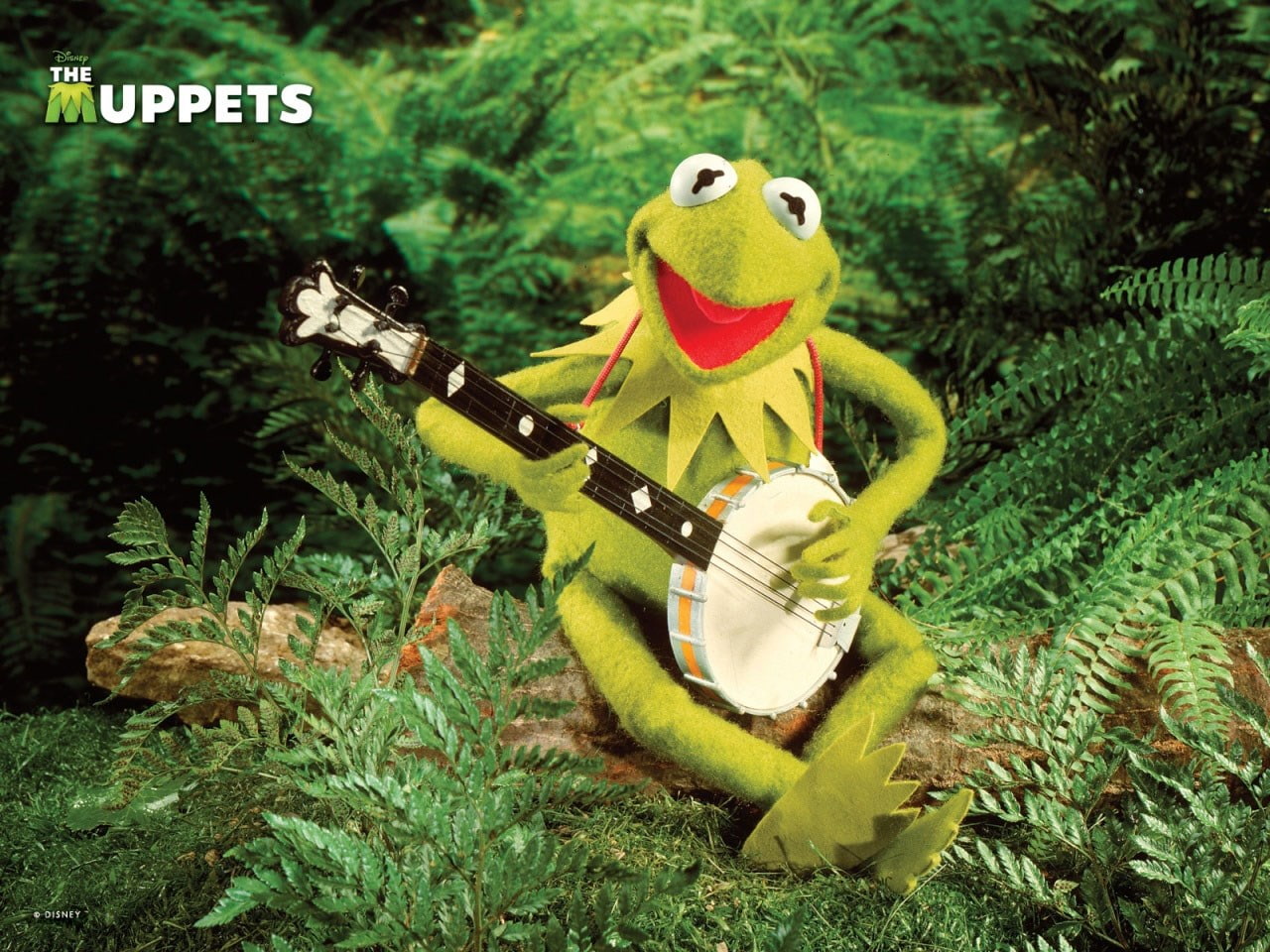 720P, the muppet show, HD Wallpaper