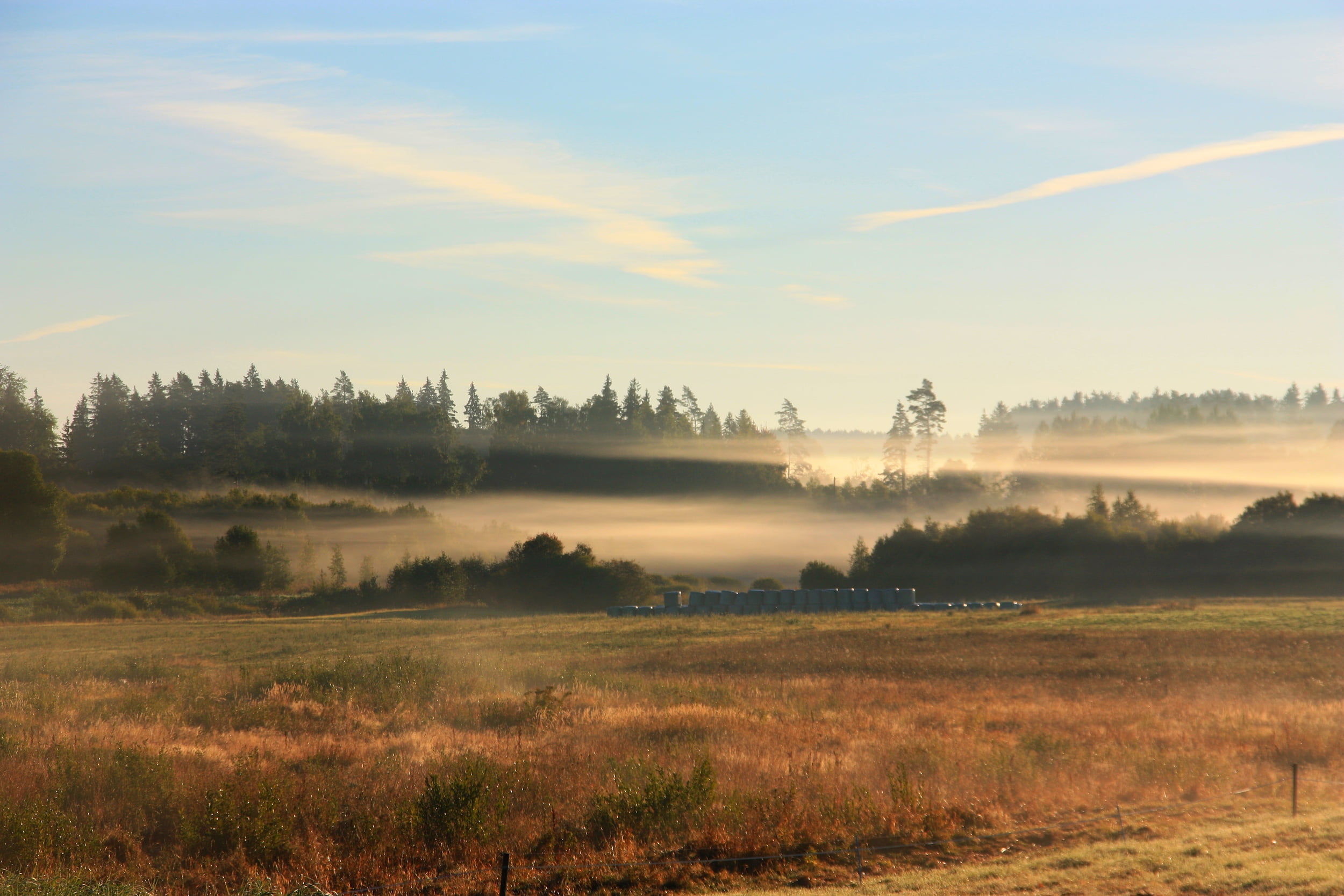 outdoor, summer, mist, grass, nature, clouds, cesis, white  day, cold, forest, fog, sky, green, fog  forest, field, front, scenics, autumn, destination, HD Wallpaper