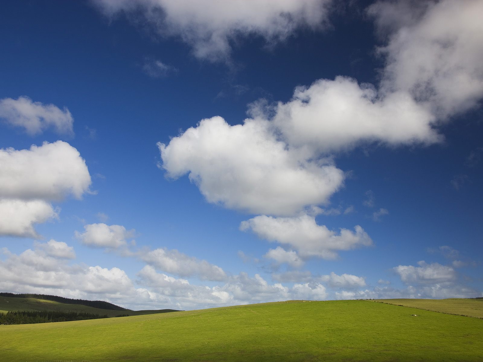 blue, green, bliss, 720P, skies, photo, pastures, HD Wallpaper