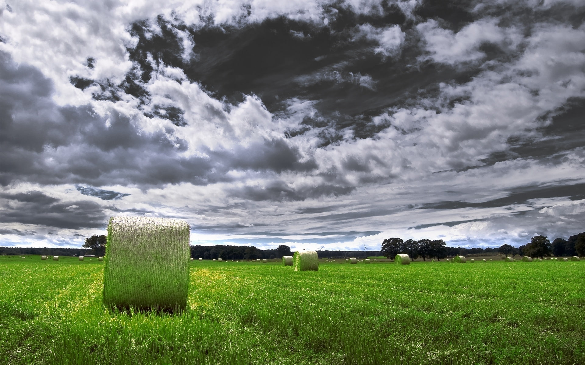 rolled, vienna, bliss, 1080P, haystack, HD Wallpaper