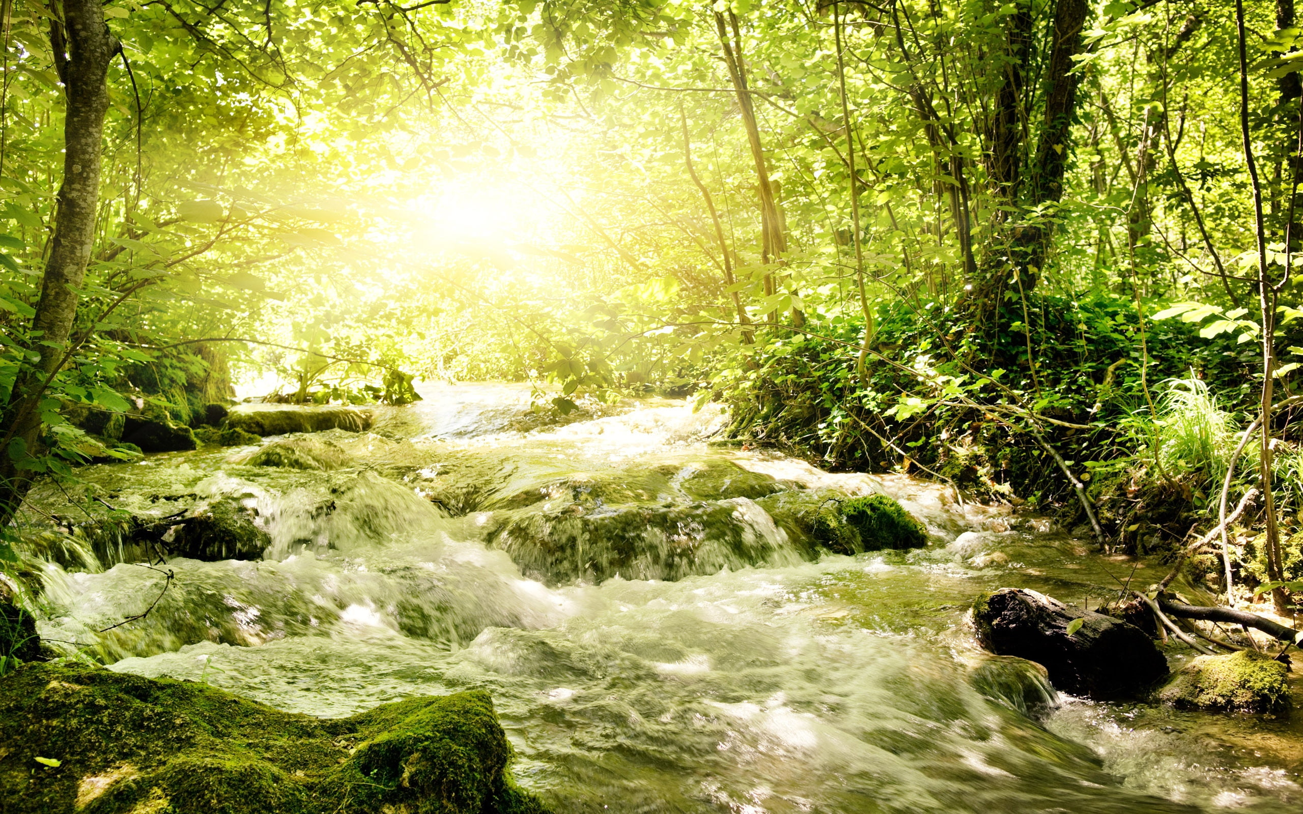 2K, scenics, day, waterfall, park - Man Made Space, plant, motion, growth, flowing, light, waterfalls, lush Foliage, moss, wet, outdoors, scenics - nature, HD Wallpaper