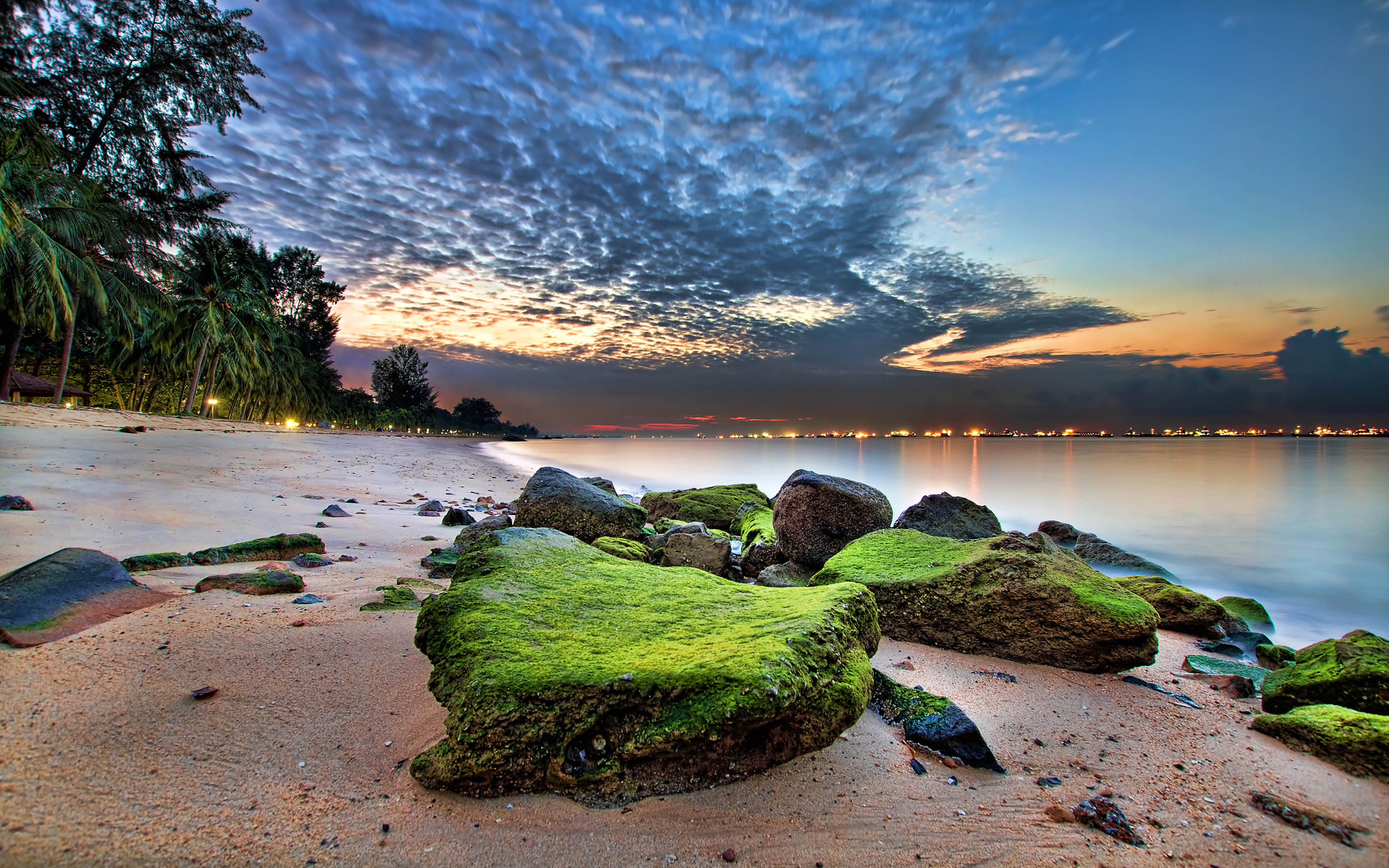 moss, solid, sea, scenics - nature, desktop, water, cloud - sky, rocks, plant, pc, coast, rock - object, tree, ocean, singapore, park, tranquil scene, HD Wallpaper