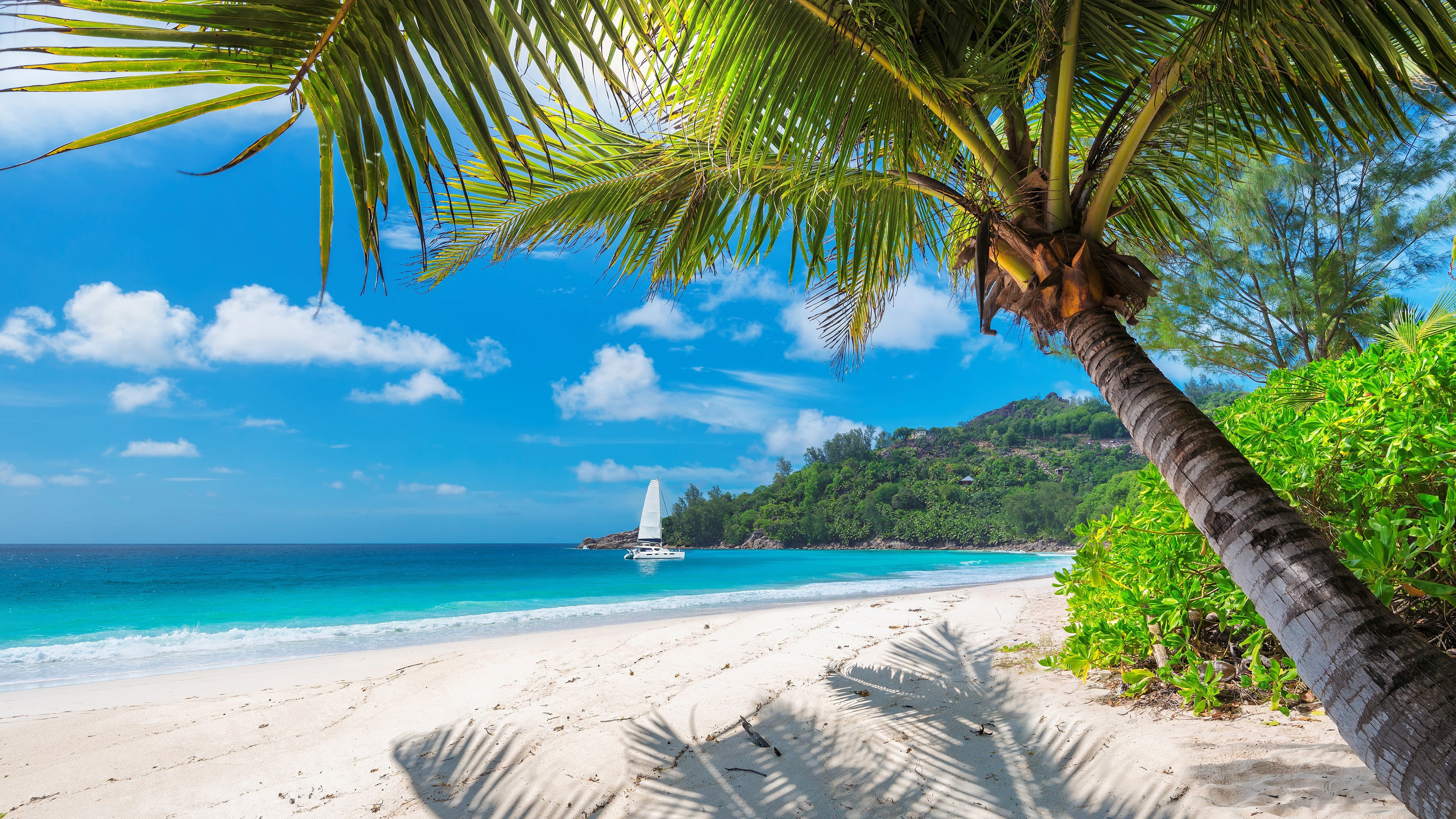 cloud - sky, tranquility, sky, tranquil scene, sandy beach, palm tree, sand, nature, blue sea, 4K, land, no people, beach, tropical tree, scenics - nature, HD Wallpaper