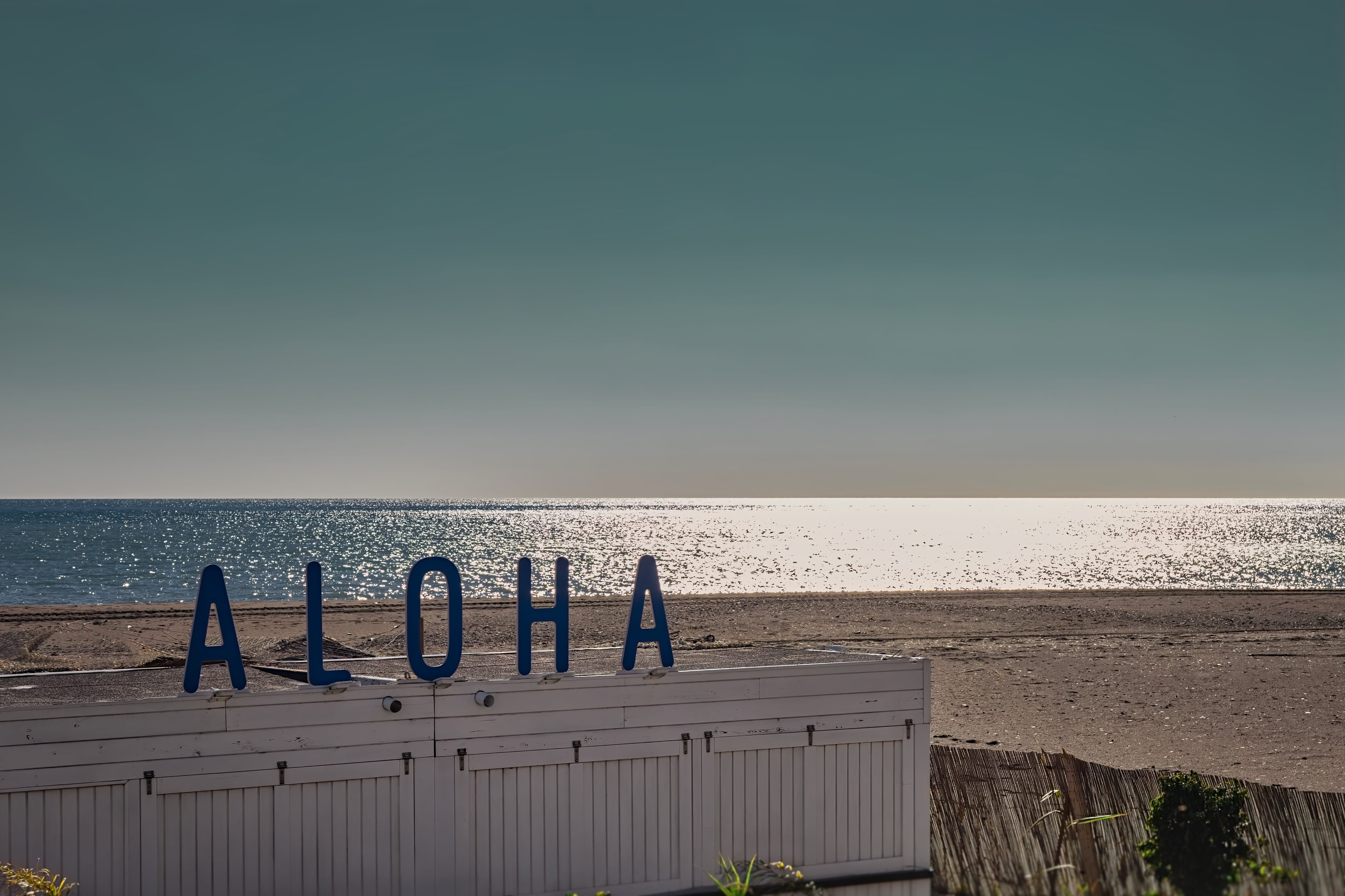 horizon, men, tranquility, water, 4K, tranquil scene, beauty in nature, hawaiian, aloha, sign, land, beach, nature, real people, day, tropical, vacation, HD Wallpaper
